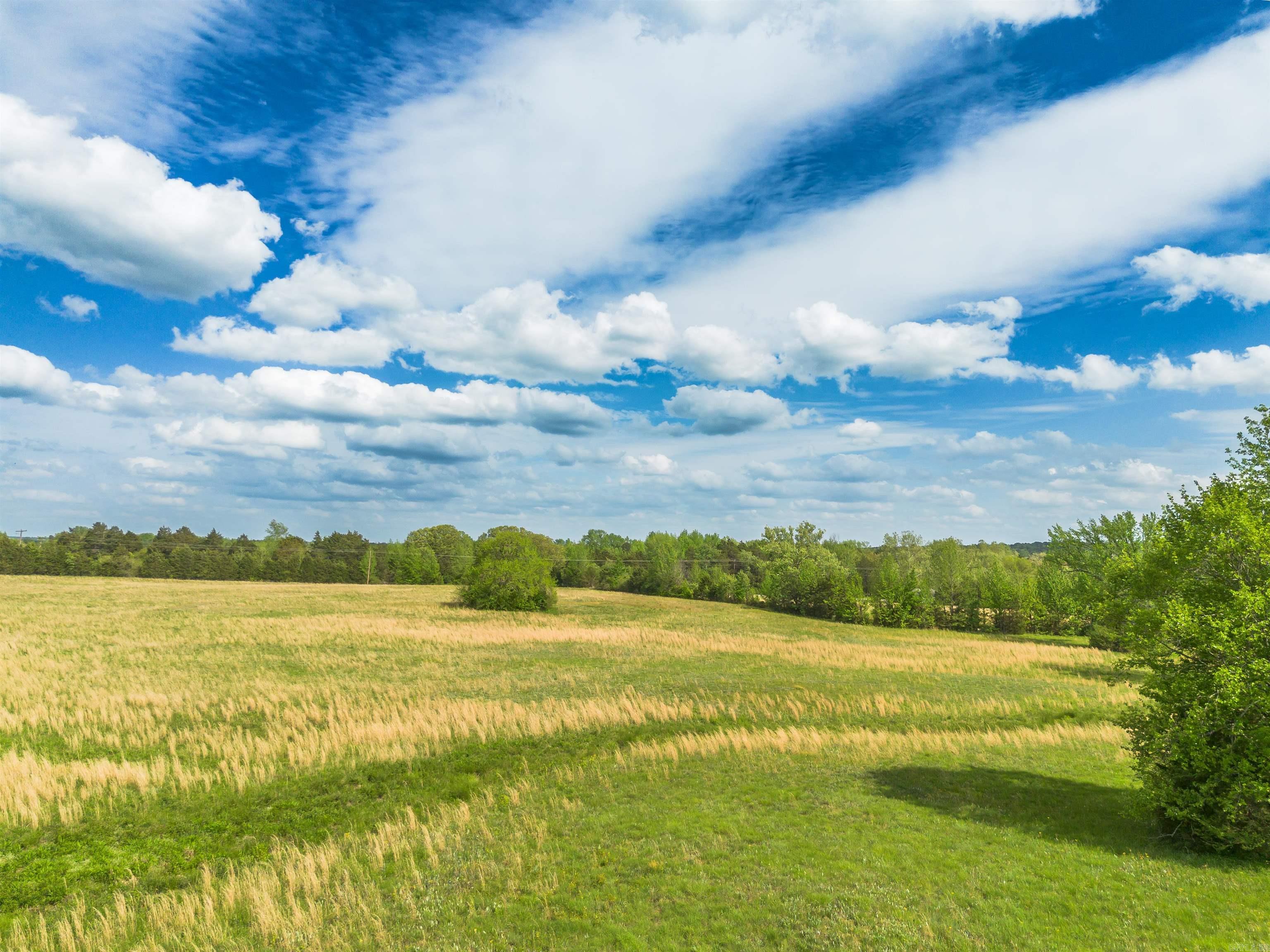 00 Boone Lane  Bee Branch, AR