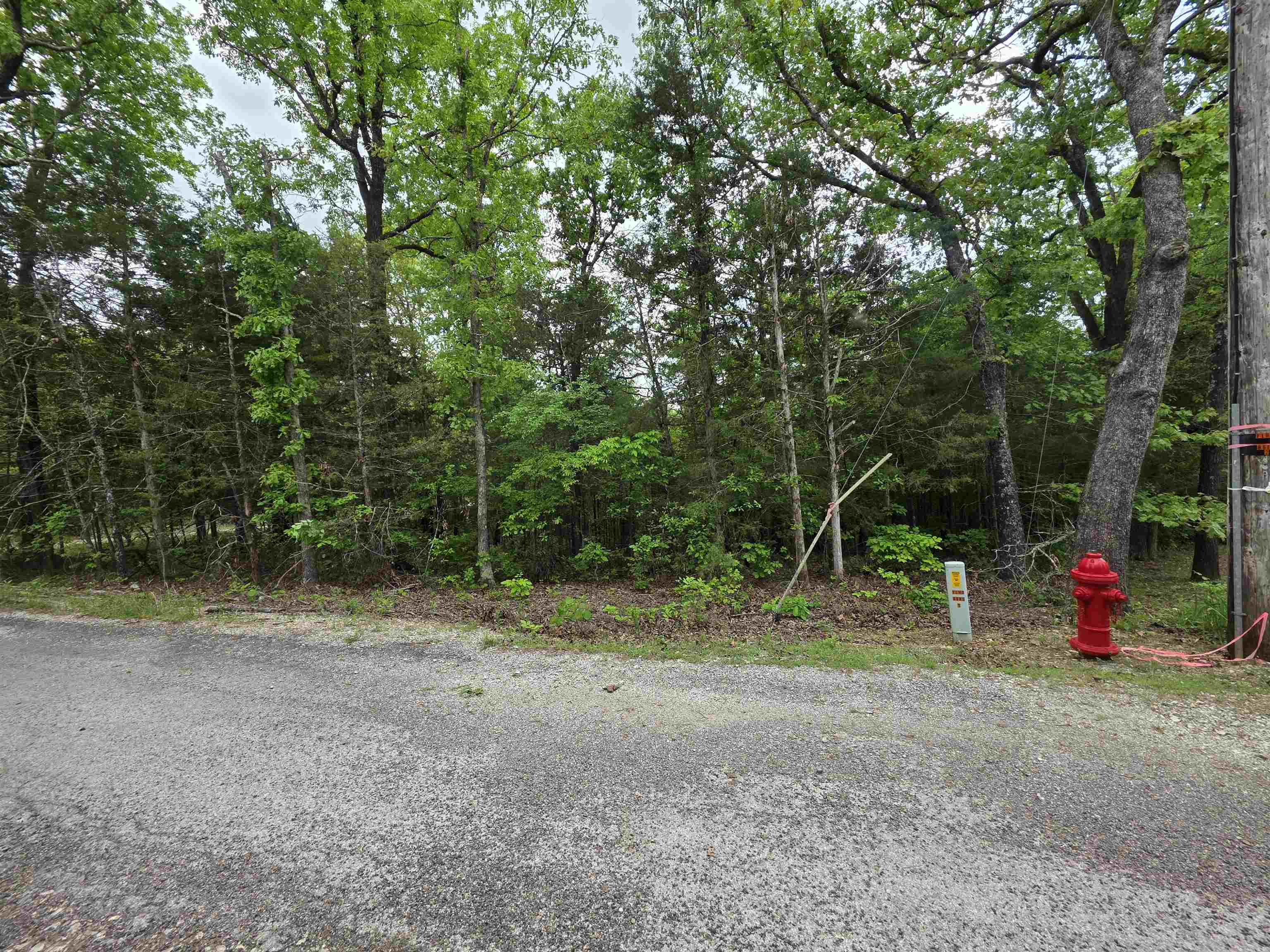 Multiple Wahoo, Wabash & Ora  Cherokee Village, AR