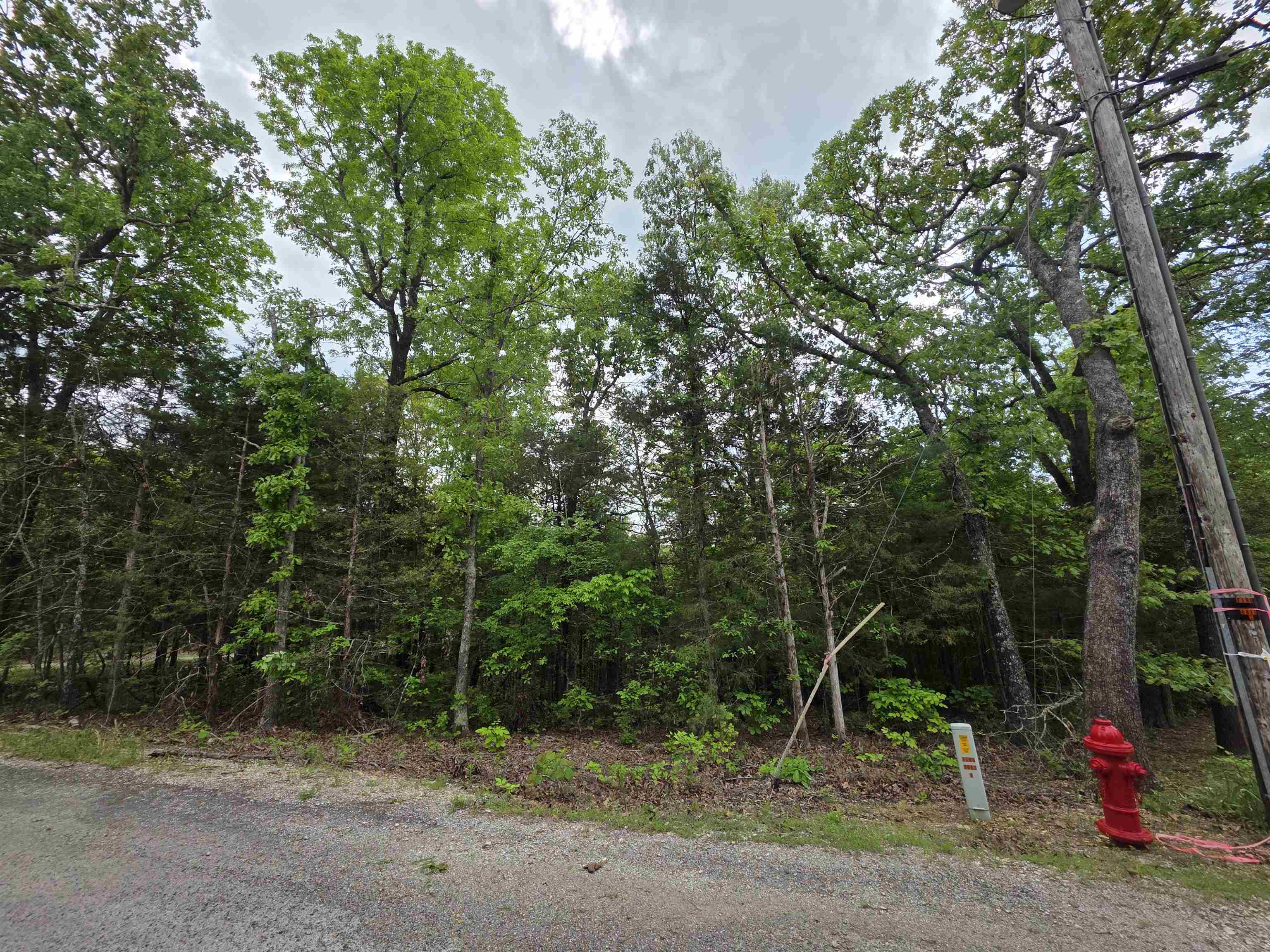 Multiple Wahoo, Wabash & Ora  Cherokee Village, AR