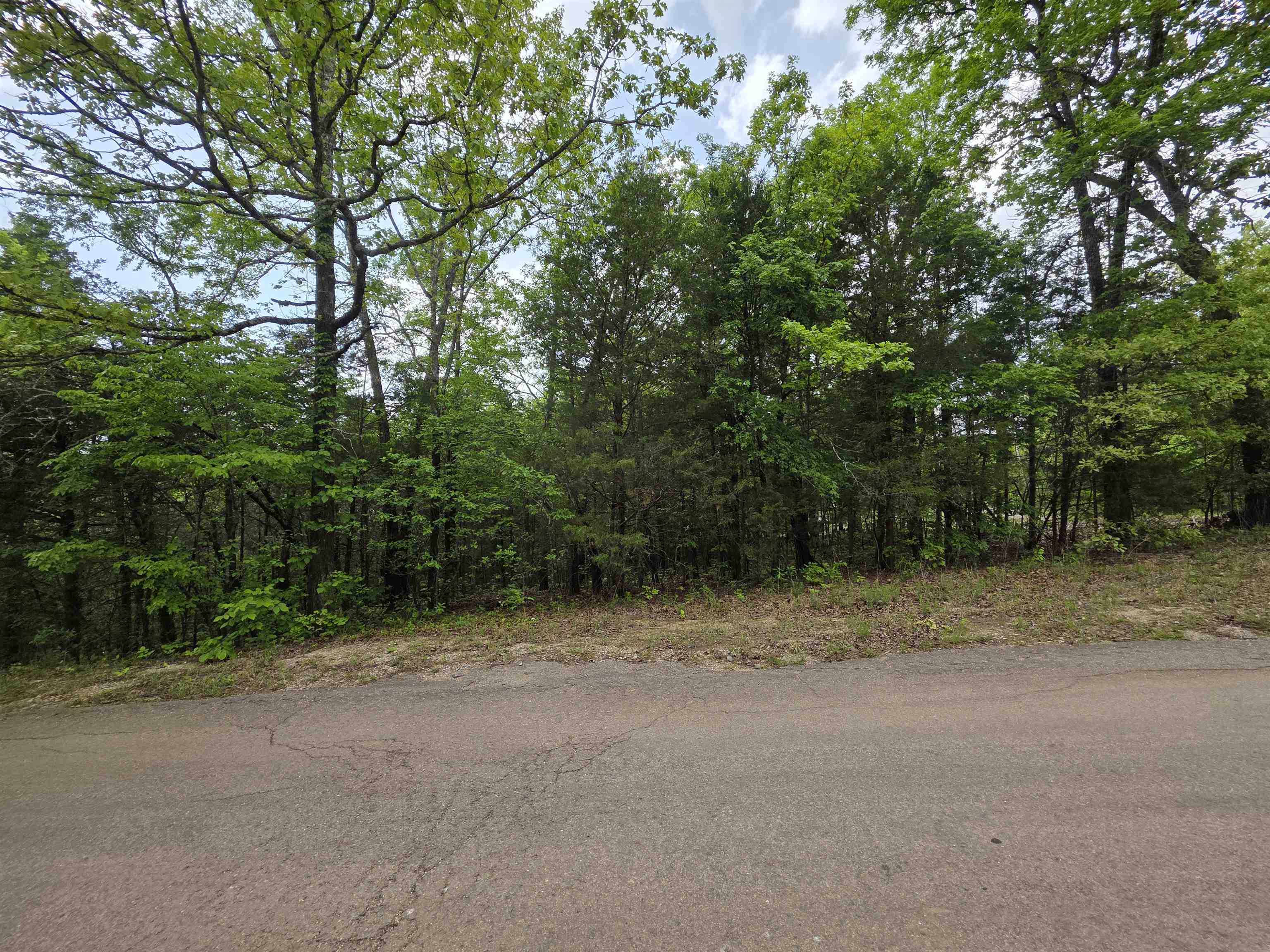 Multiple Wahoo, Wabash & Ora  Cherokee Village, AR