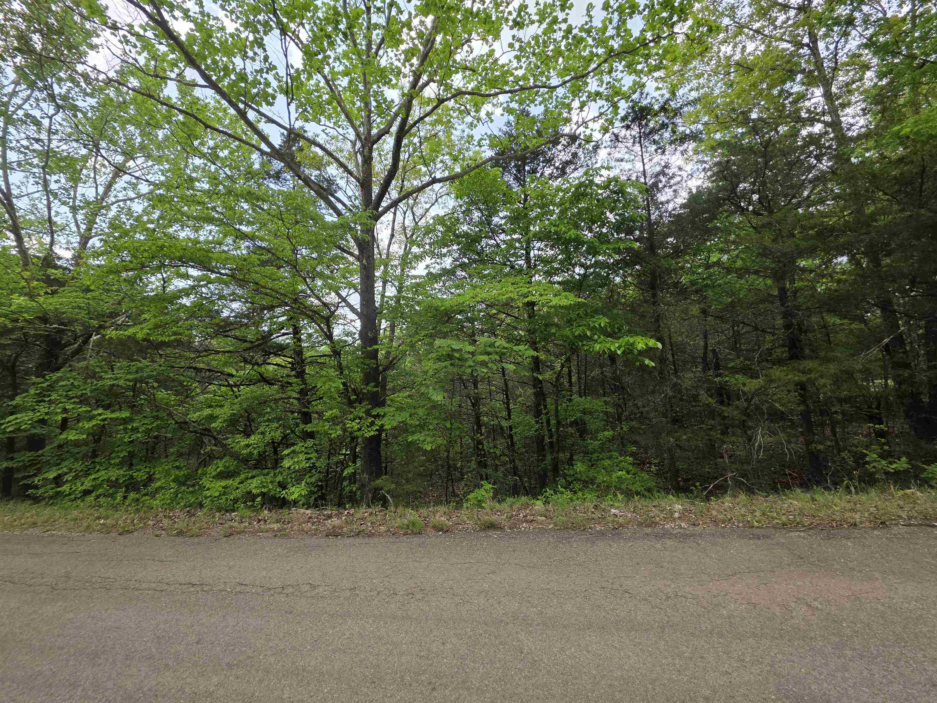 Multiple Wahoo, Wabash & Ora  Cherokee Village, AR