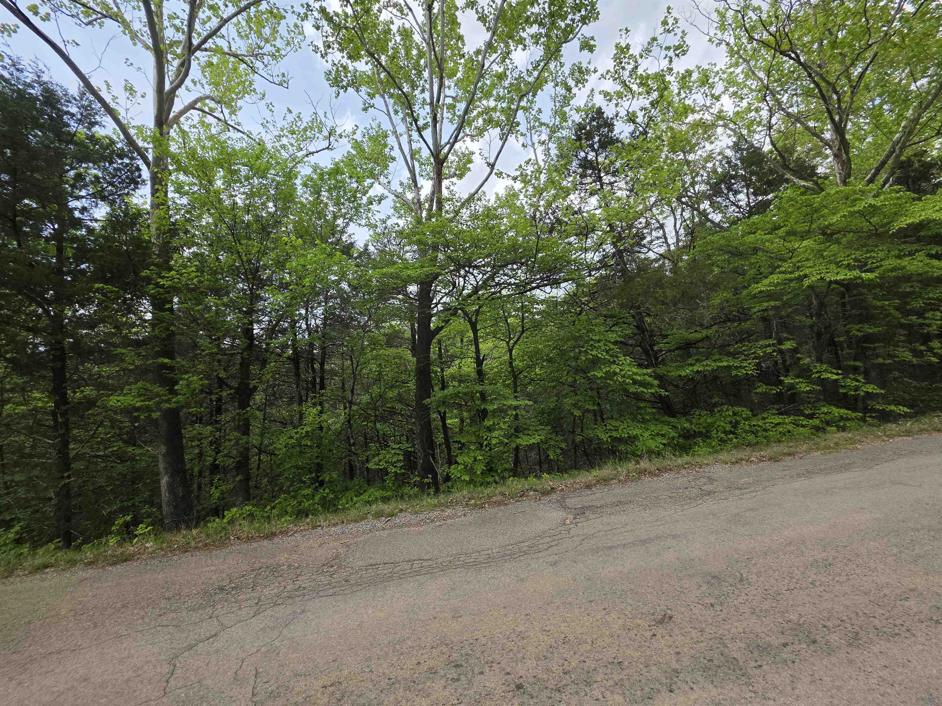 Multiple Wahoo, Wabash & Ora  Cherokee Village, AR