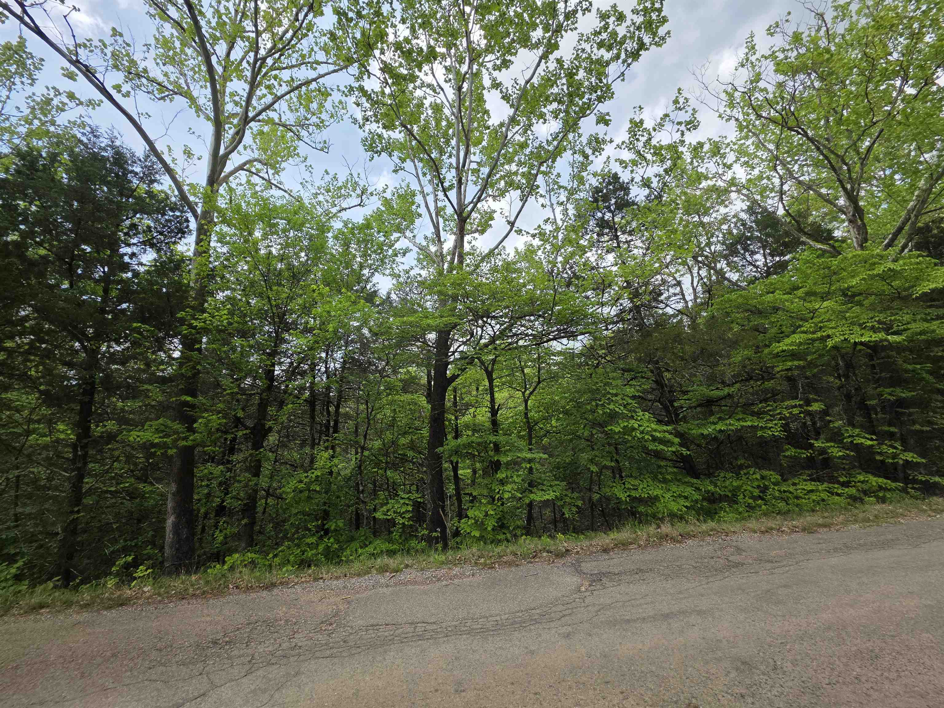 Multiple Wahoo, Wabash & Ora  Cherokee Village, AR