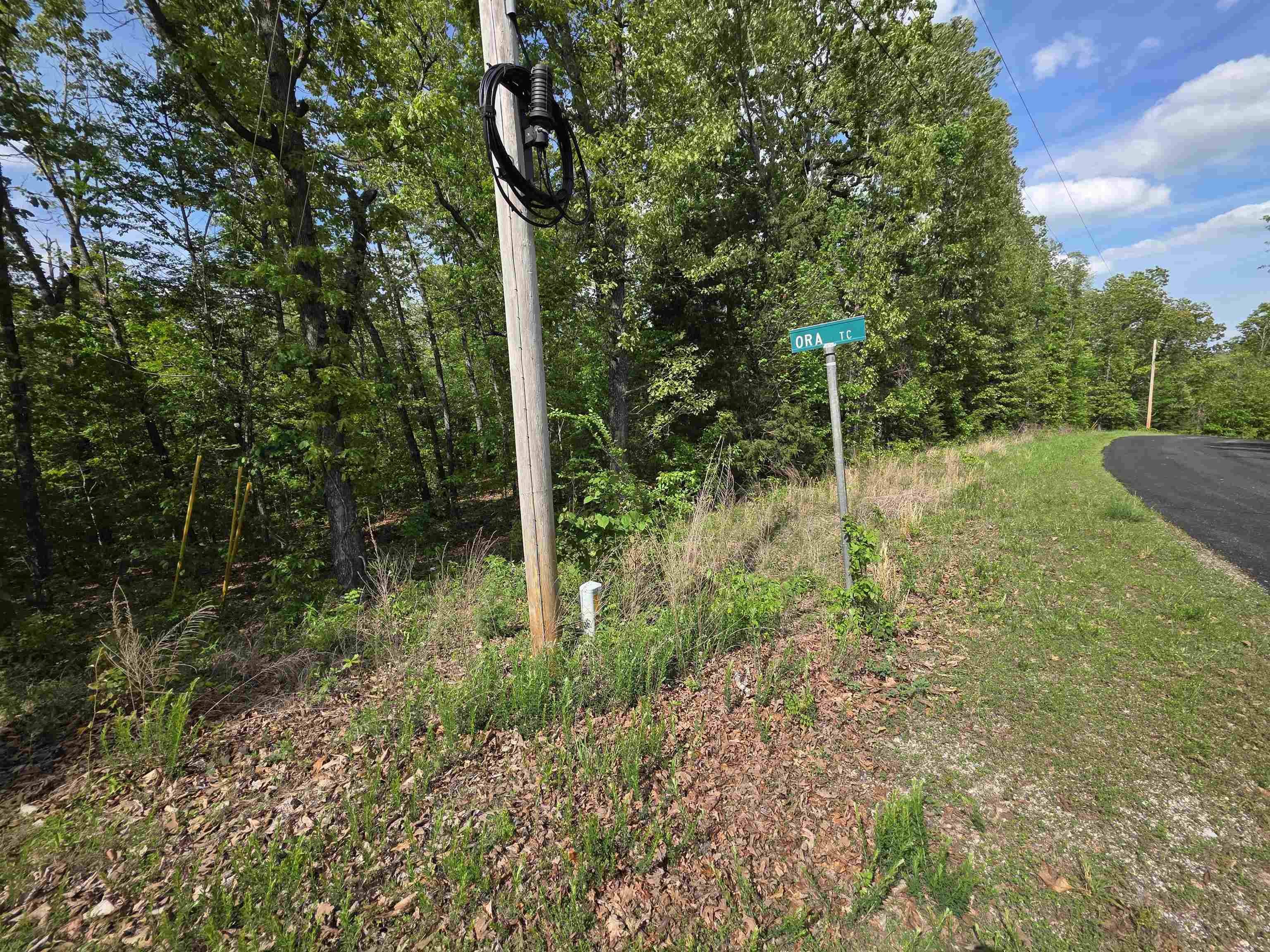 Multiple Wahoo, Wabash & Ora  Cherokee Village, AR