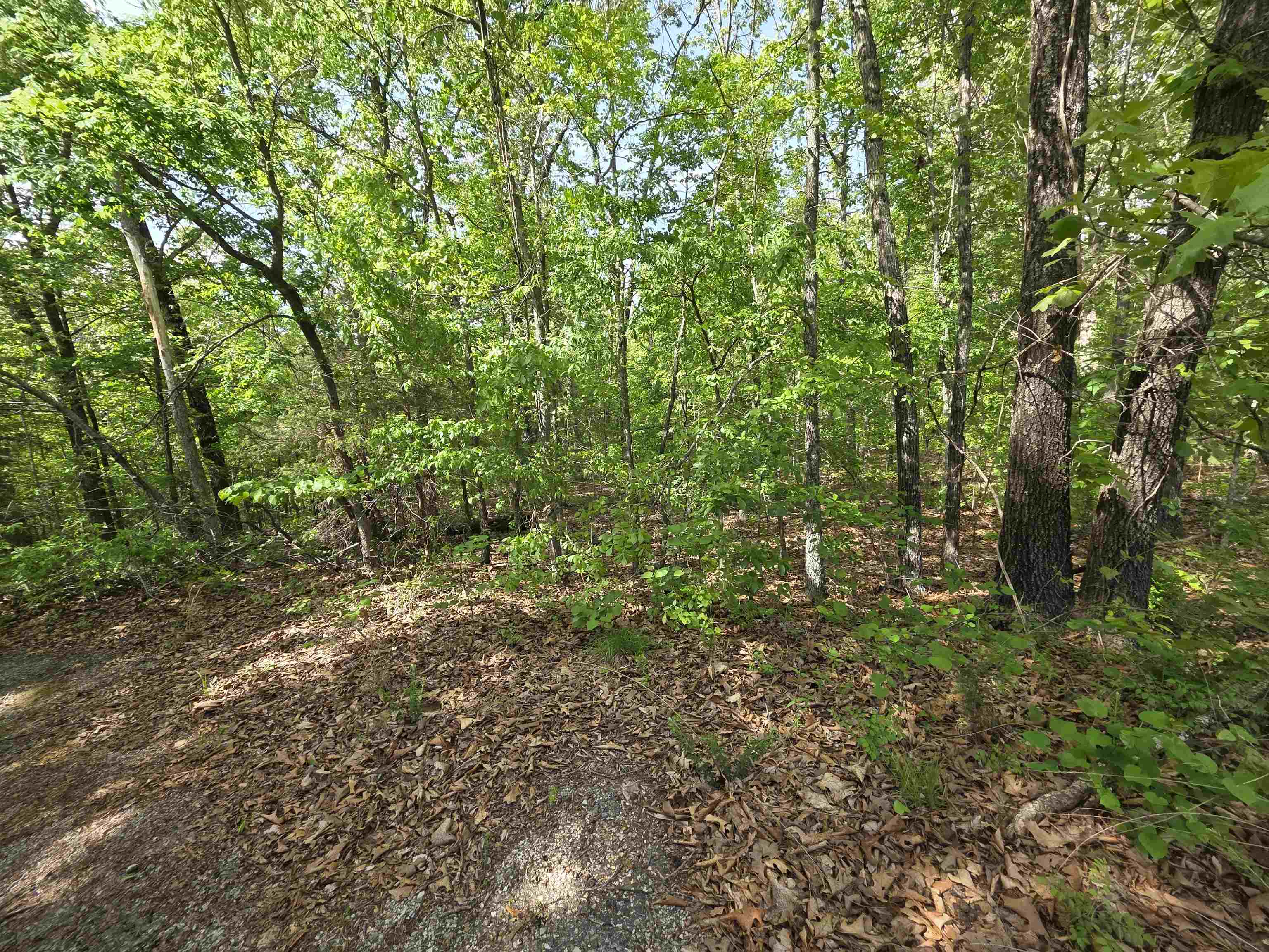 Multiple Wahoo, Wabash & Ora  Cherokee Village, AR