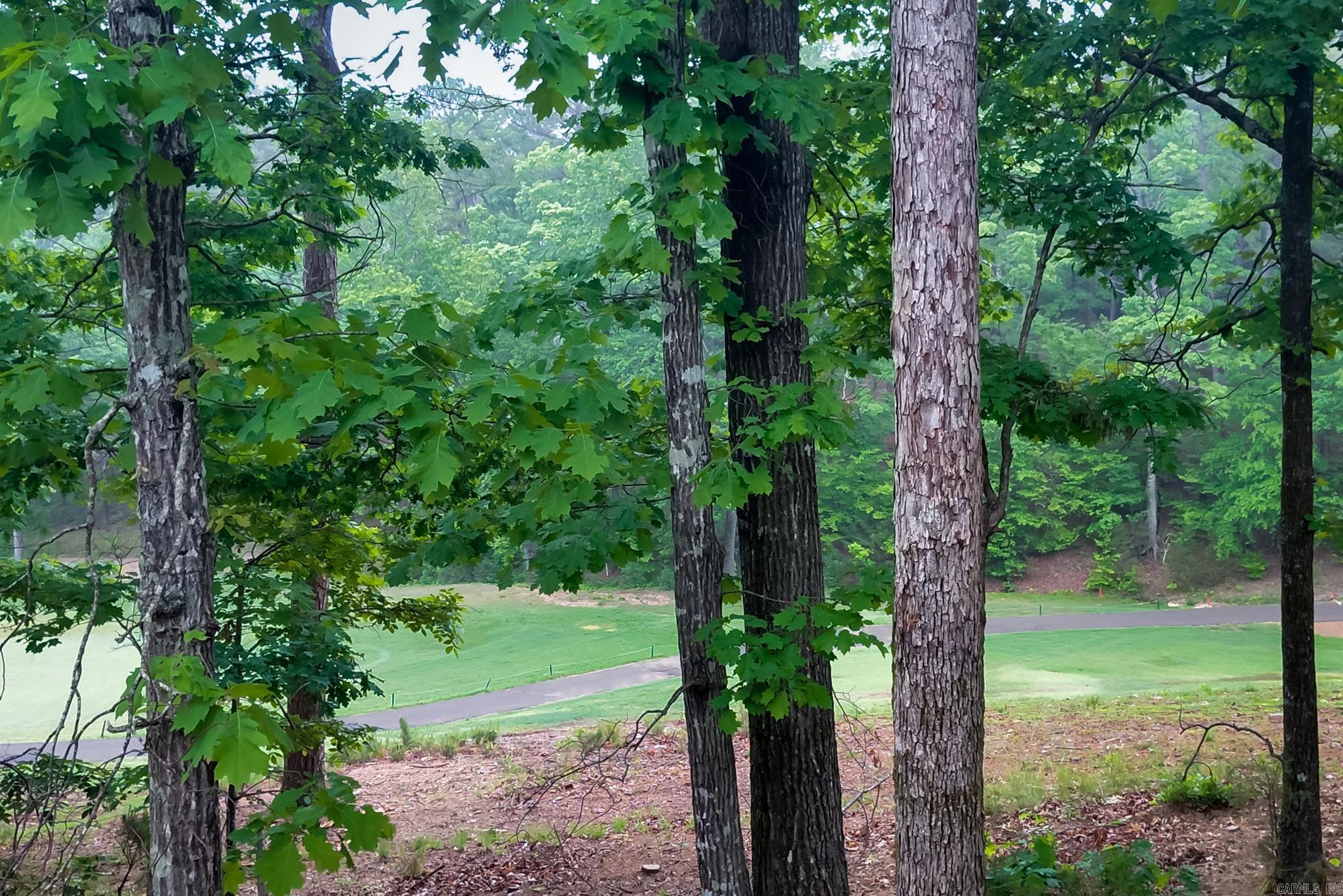 36 Baltanas  Hot Springs Village, AR