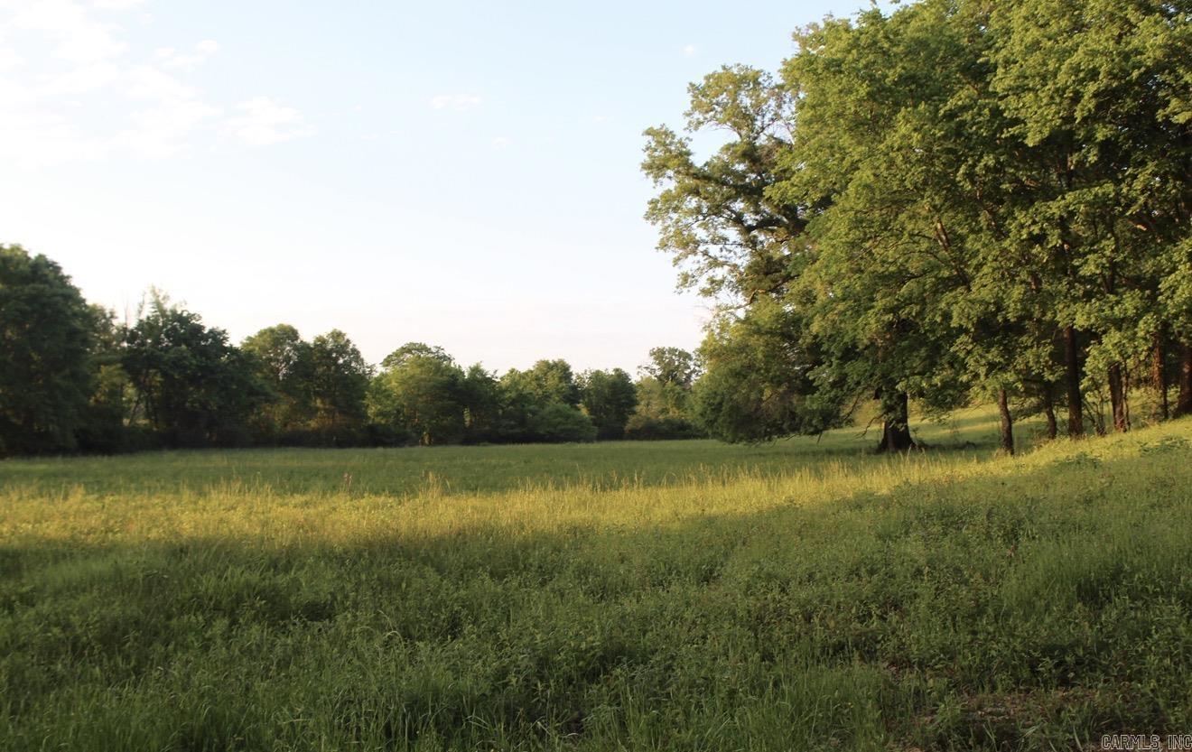 299 Harmony  Amity, AR