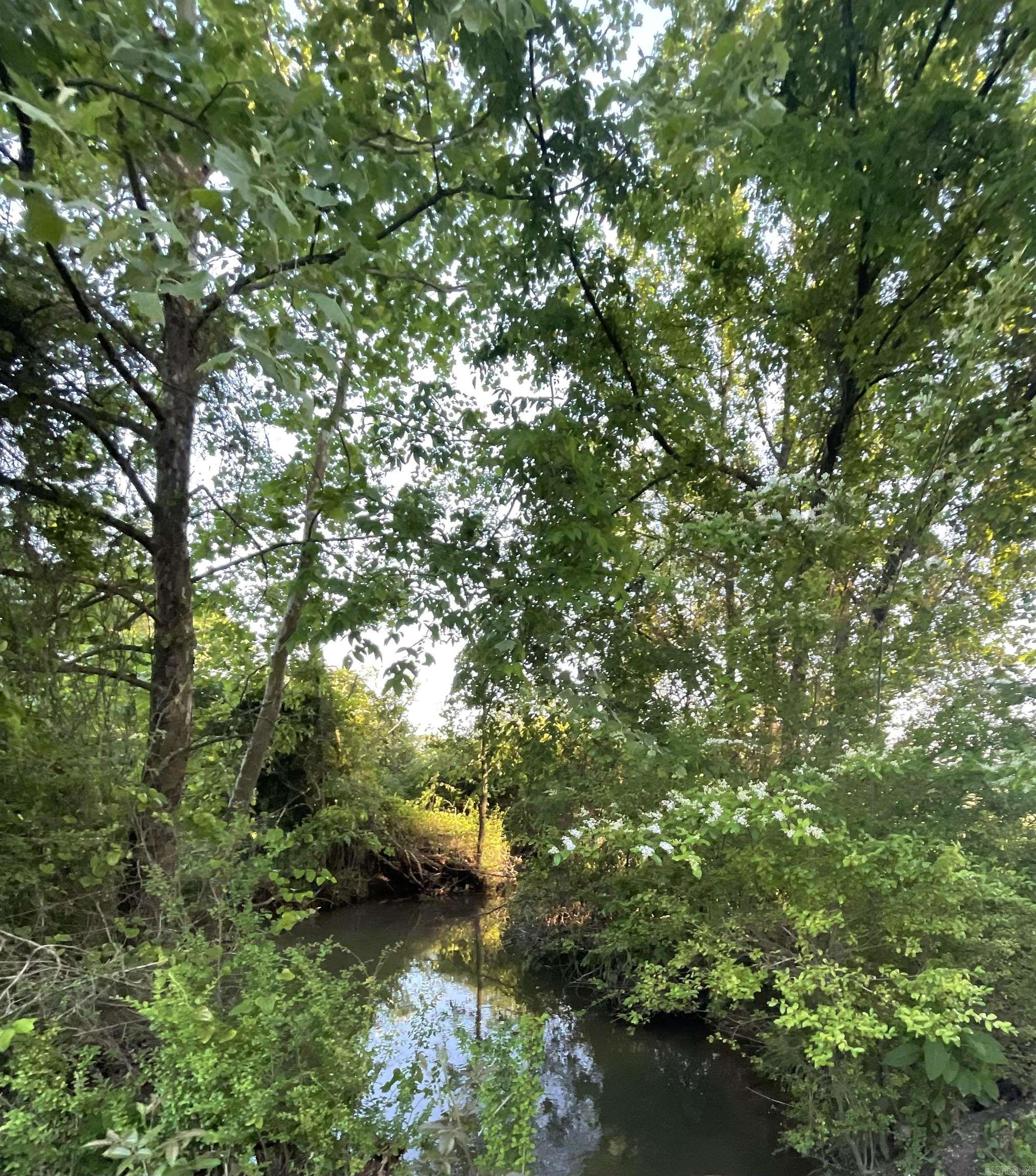 299 Harmony  Amity, AR