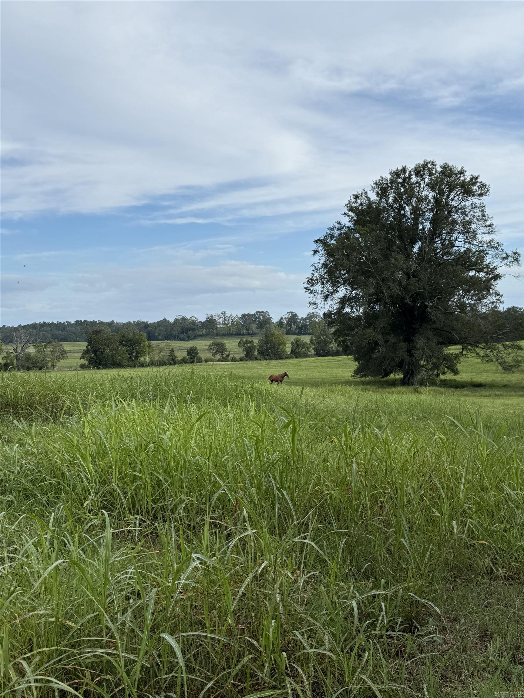 299 Harmony  Amity, AR