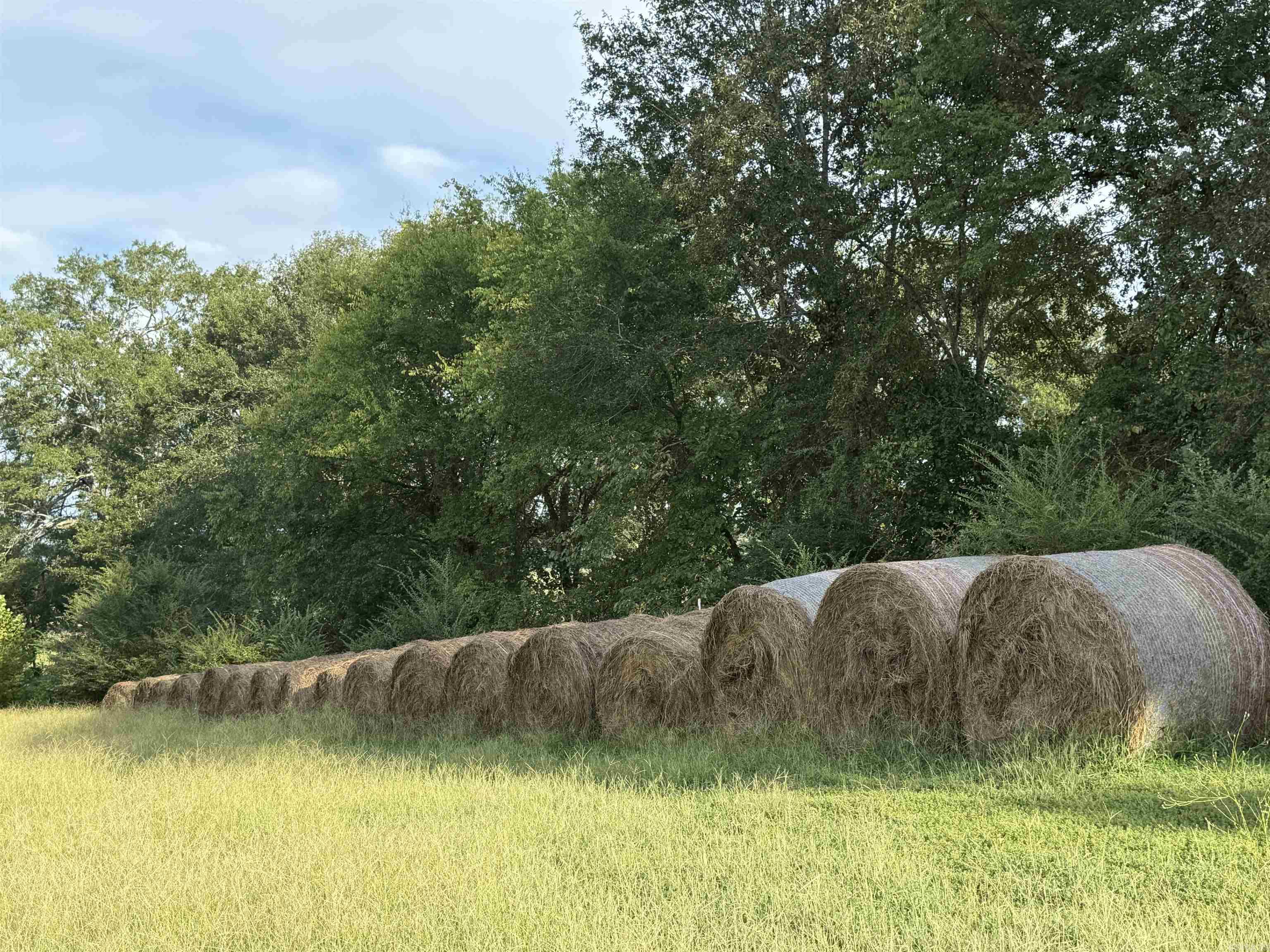 299 Harmony  Amity, AR