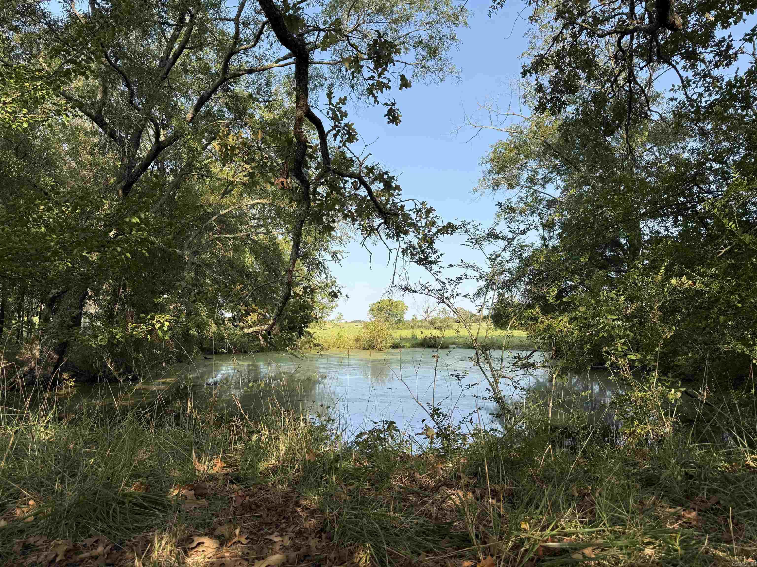 299 Harmony  Amity, AR