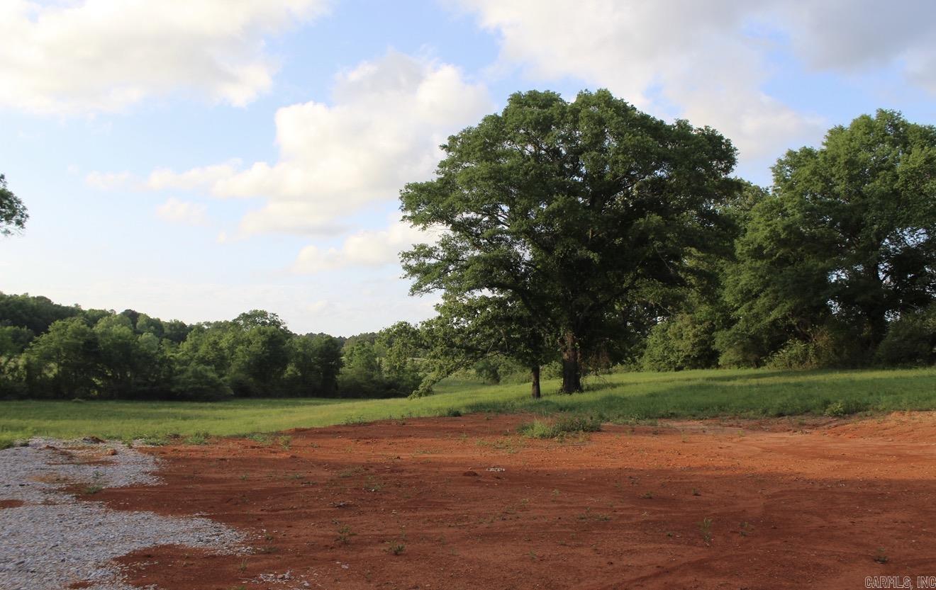 299 Harmony  Amity, AR