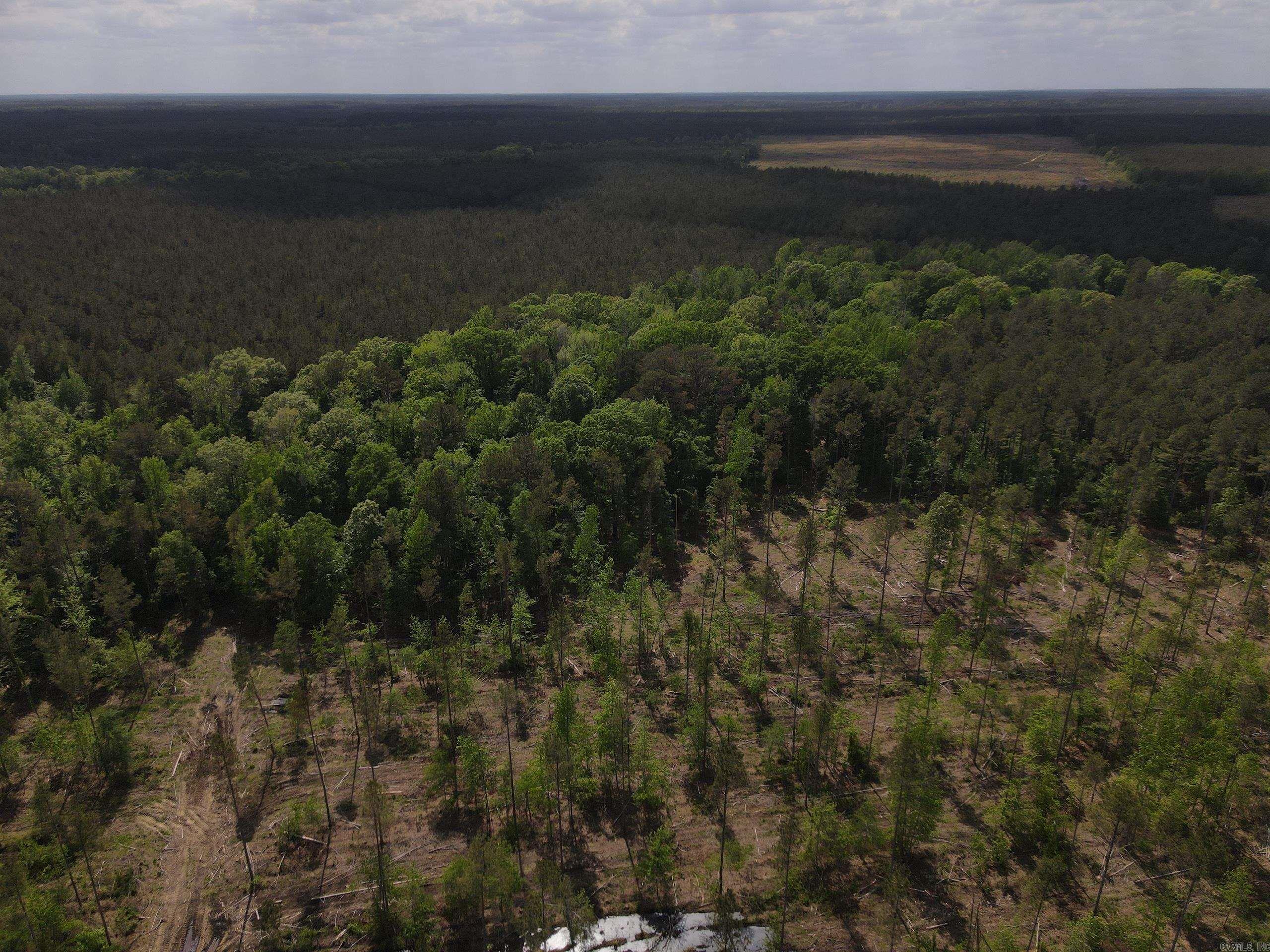 000 County Road 308  Hamburg, AR