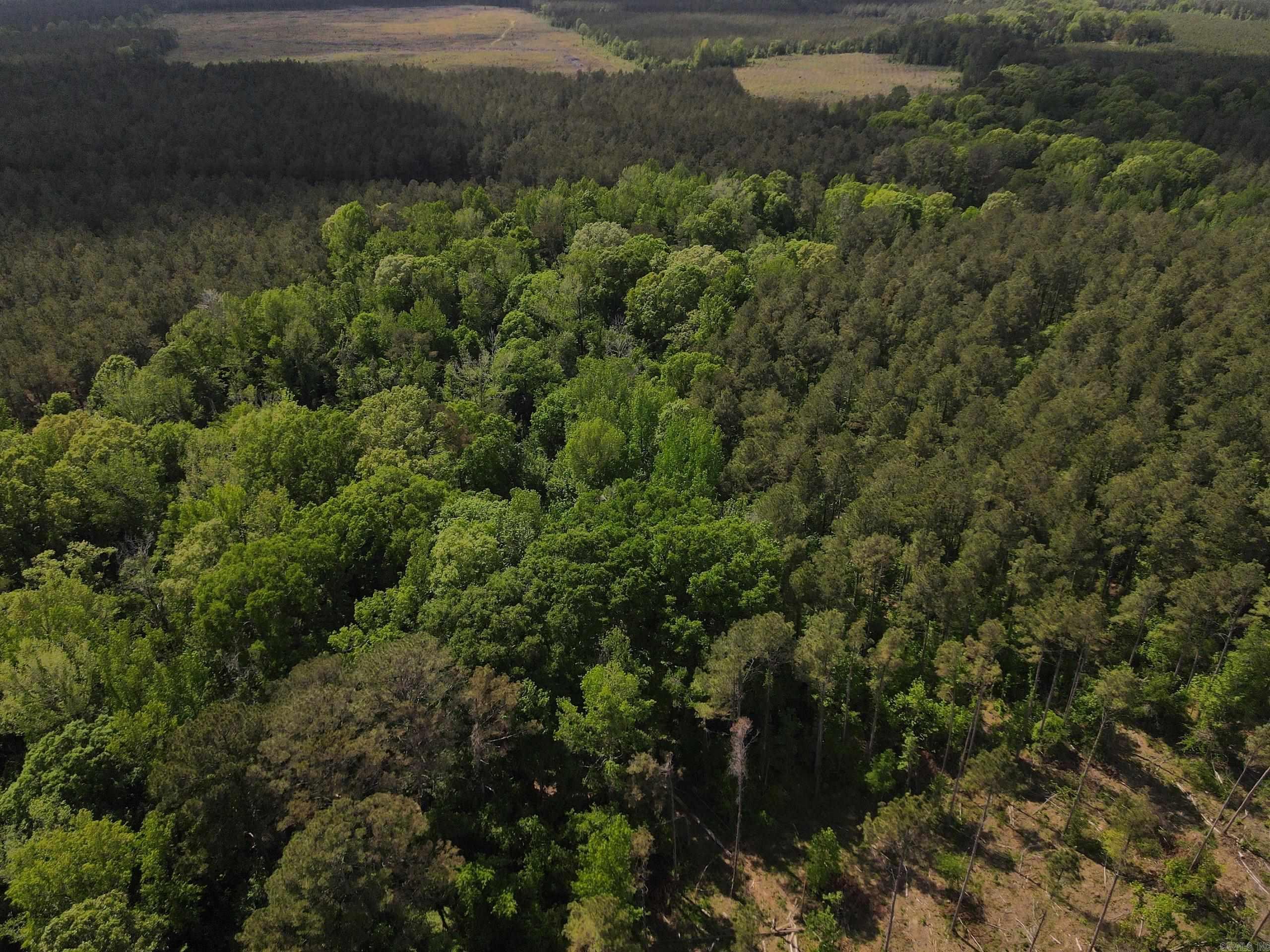 000 County Road 308  Hamburg, AR