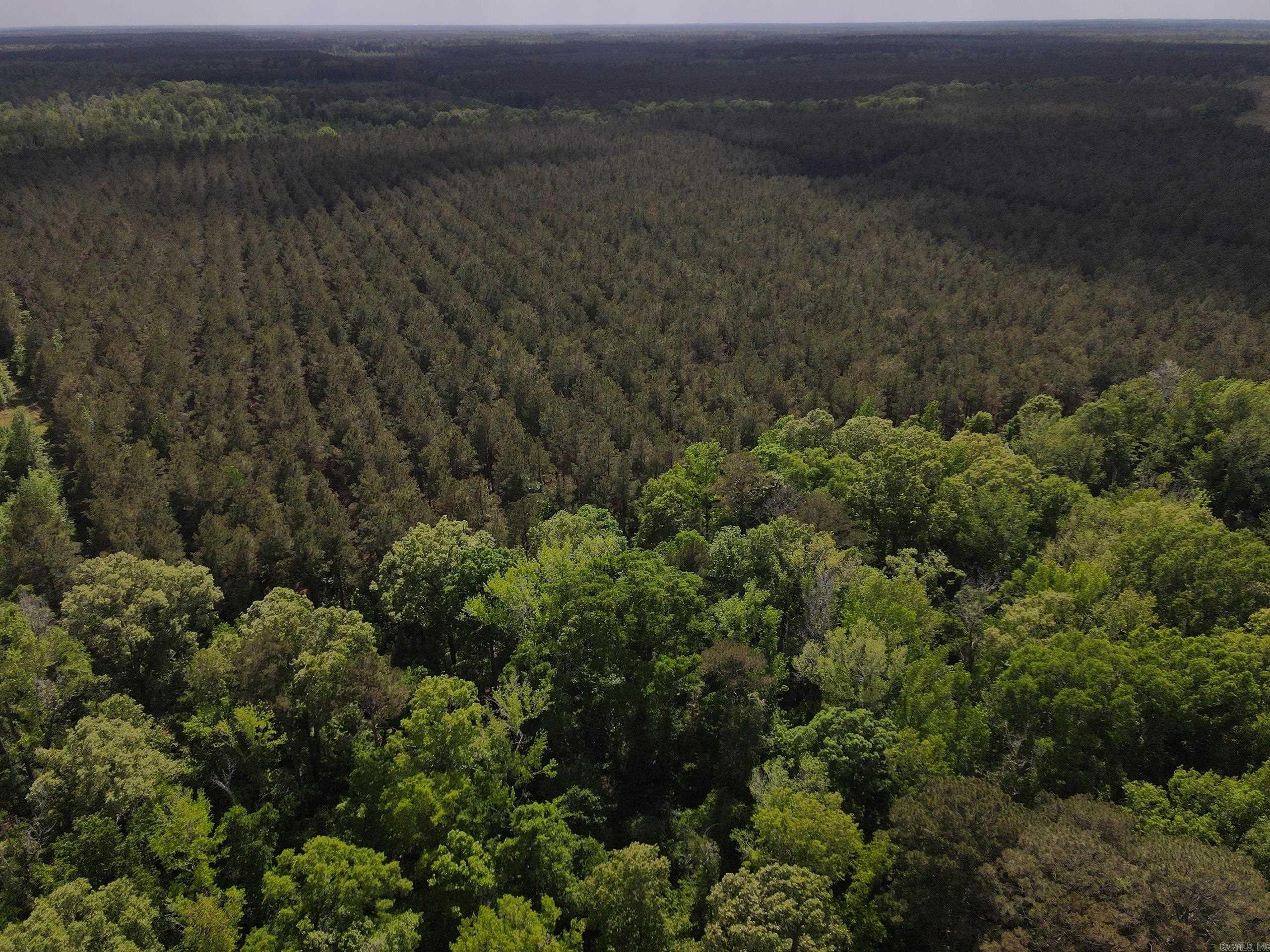 000 County Road 308  Hamburg, AR