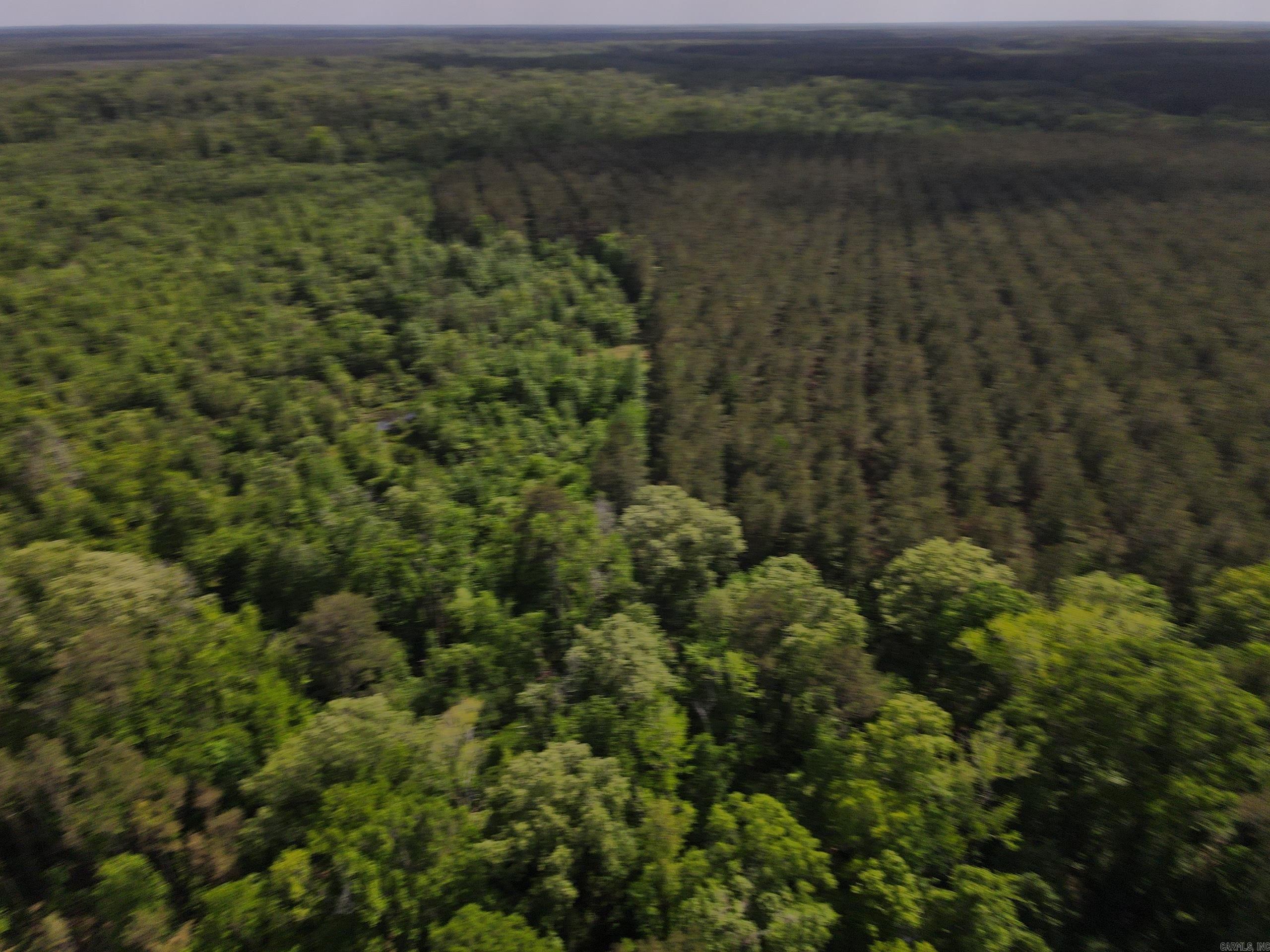 000 County Road 308  Hamburg, AR