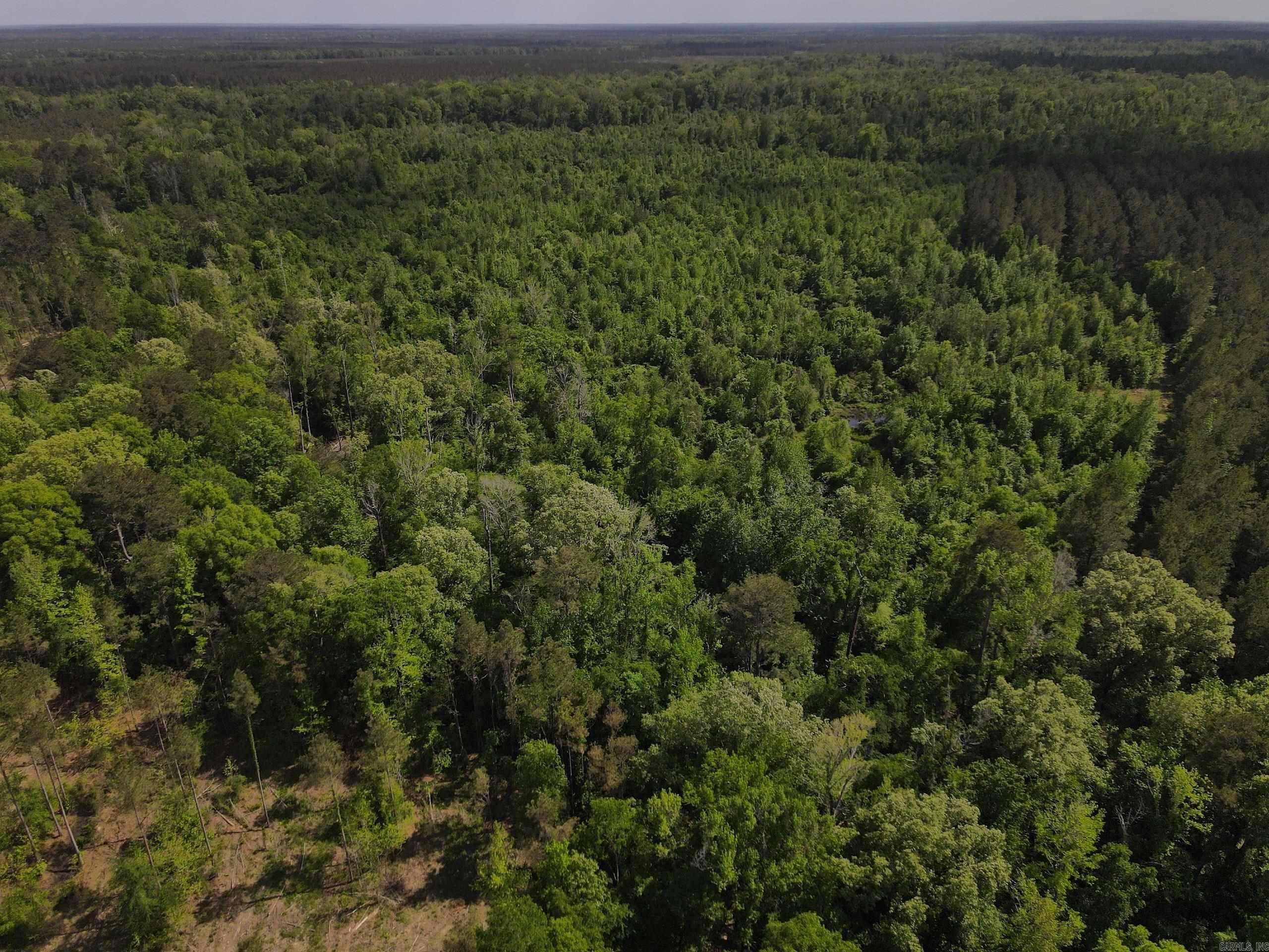 000 County Road 308  Hamburg, AR