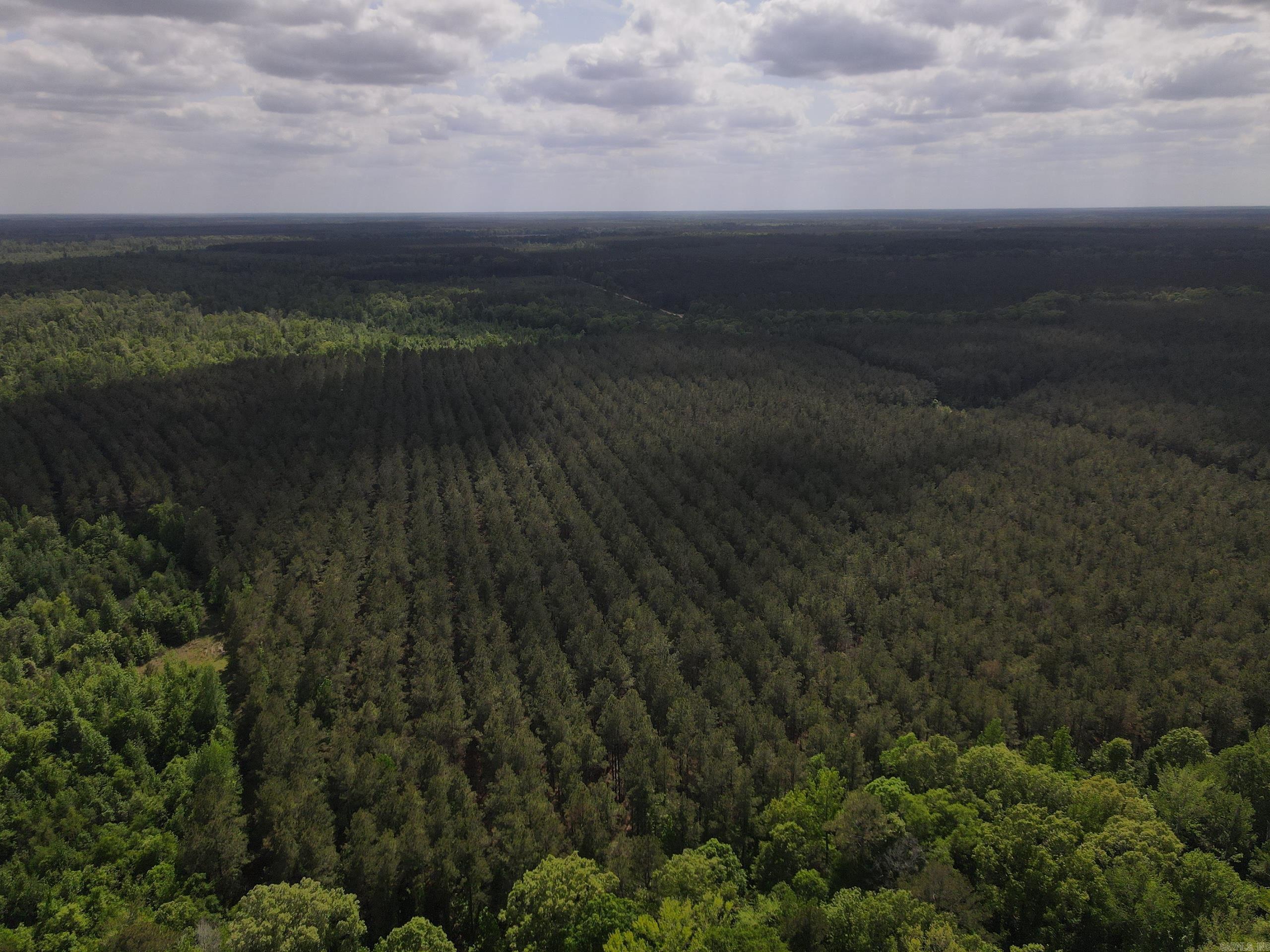 000 County Road 308  Hamburg, AR