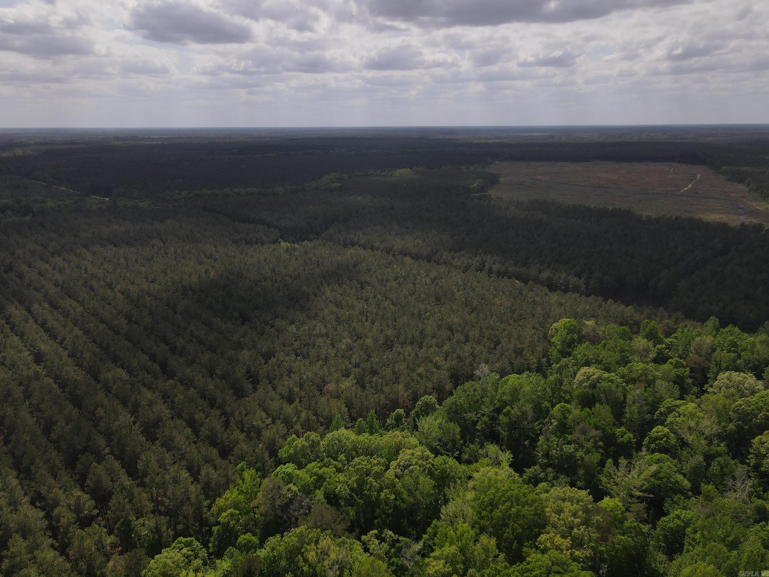 000 County Road 308  Hamburg, AR