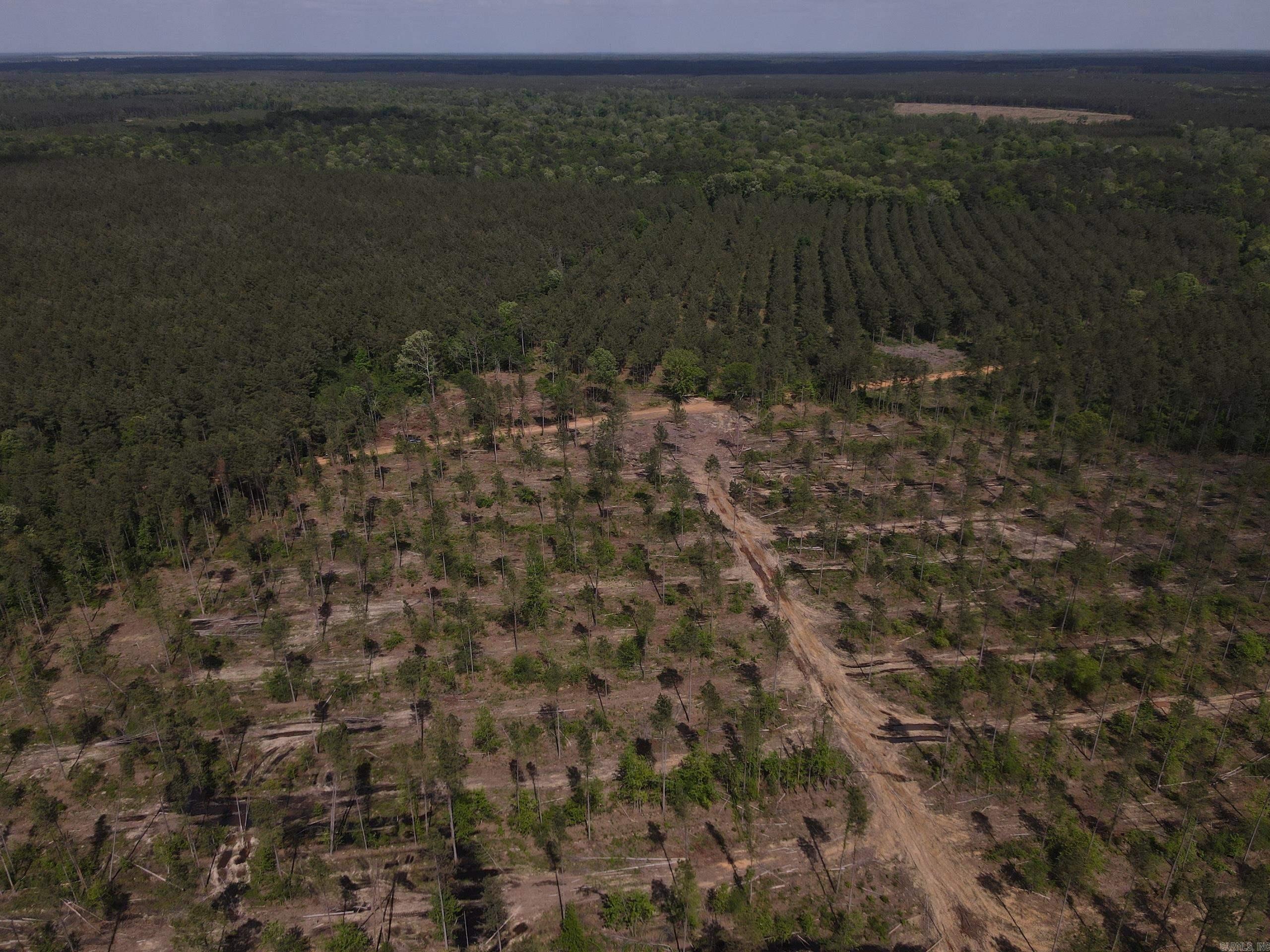 000 County Road 308  Hamburg, AR