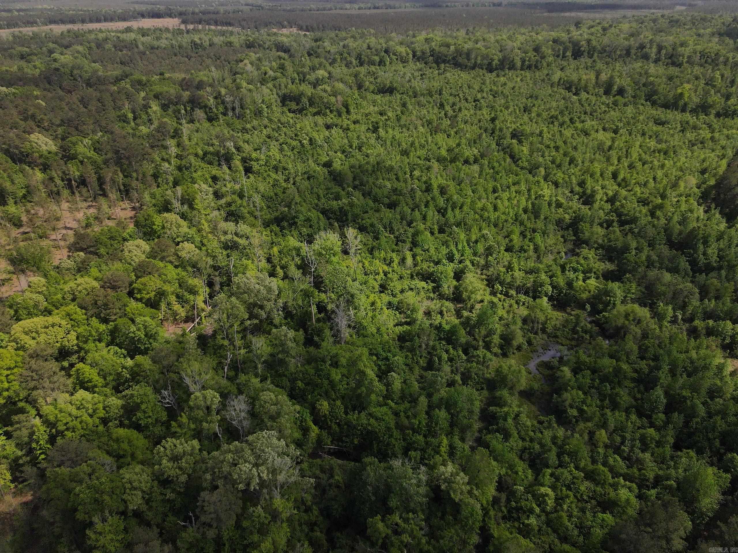 000 County Road 308  Hamburg, AR