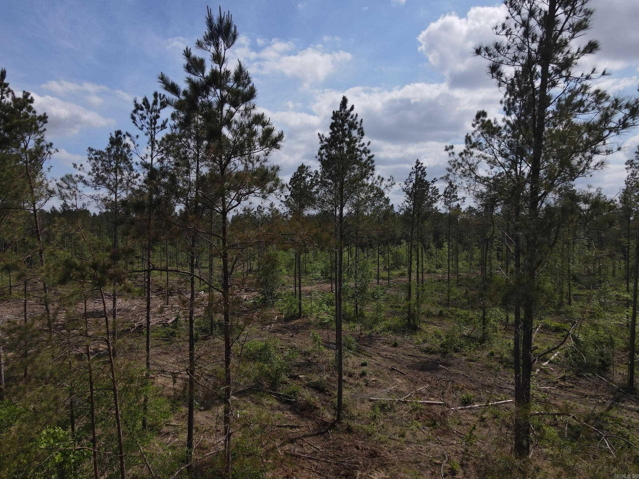 000 County Road 308  Hamburg, AR