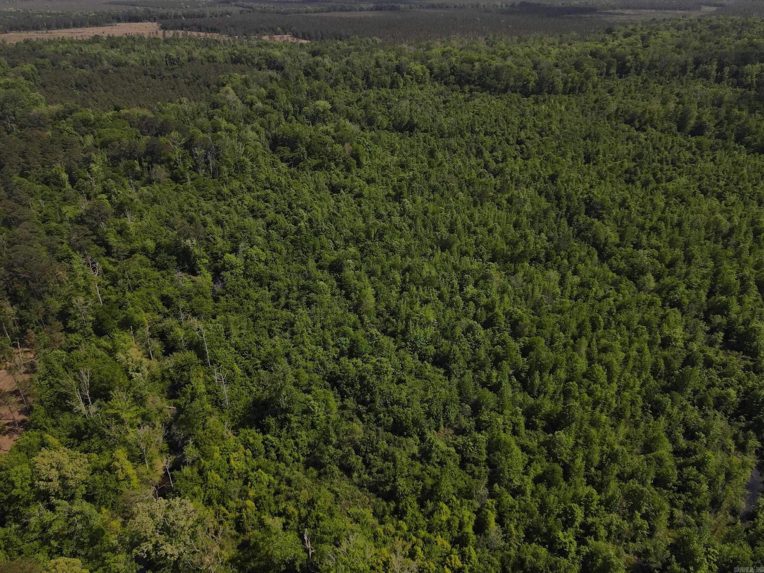 000 County Road 308  Hamburg, AR