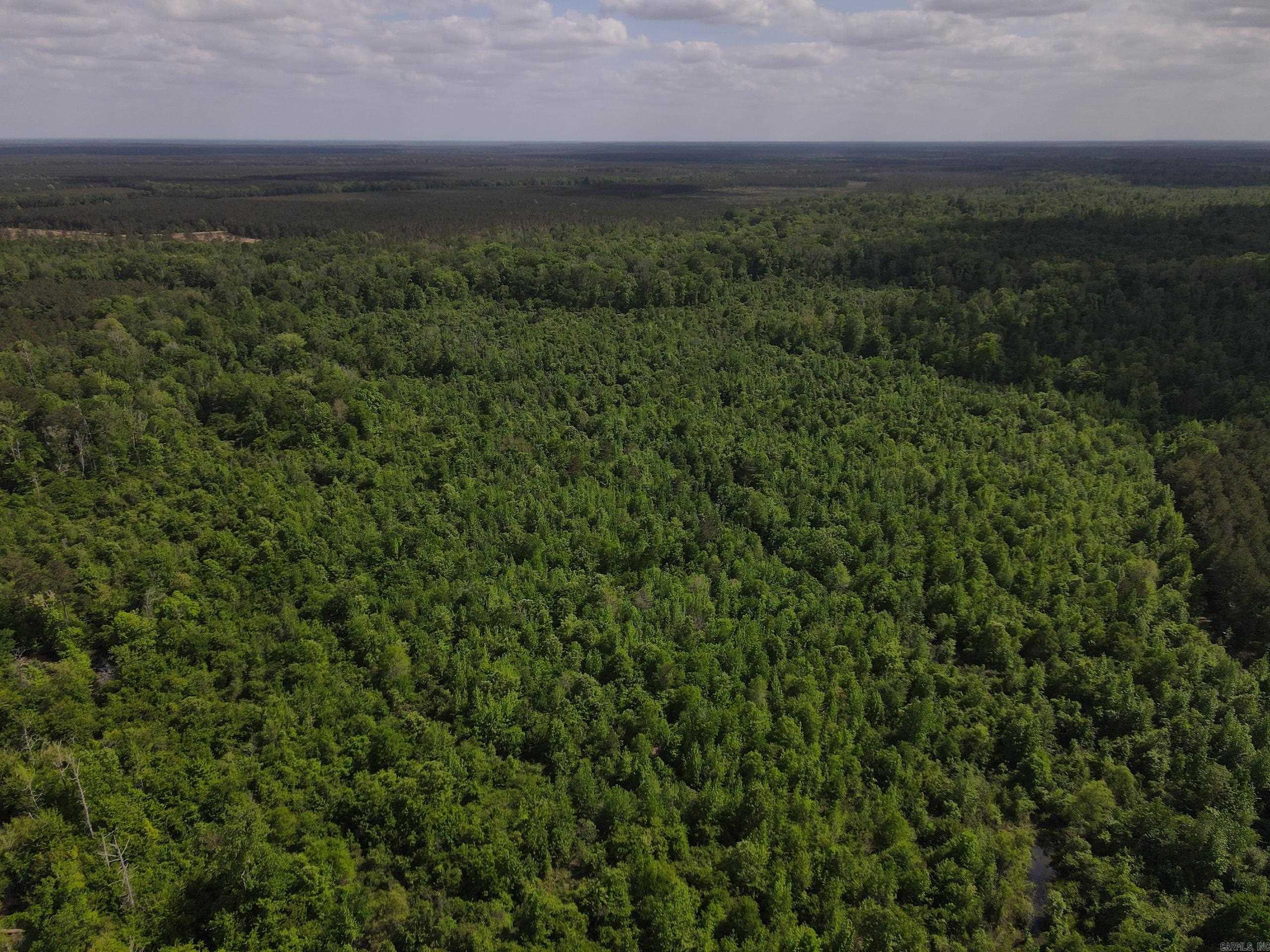 000 County Road 308  Hamburg, AR