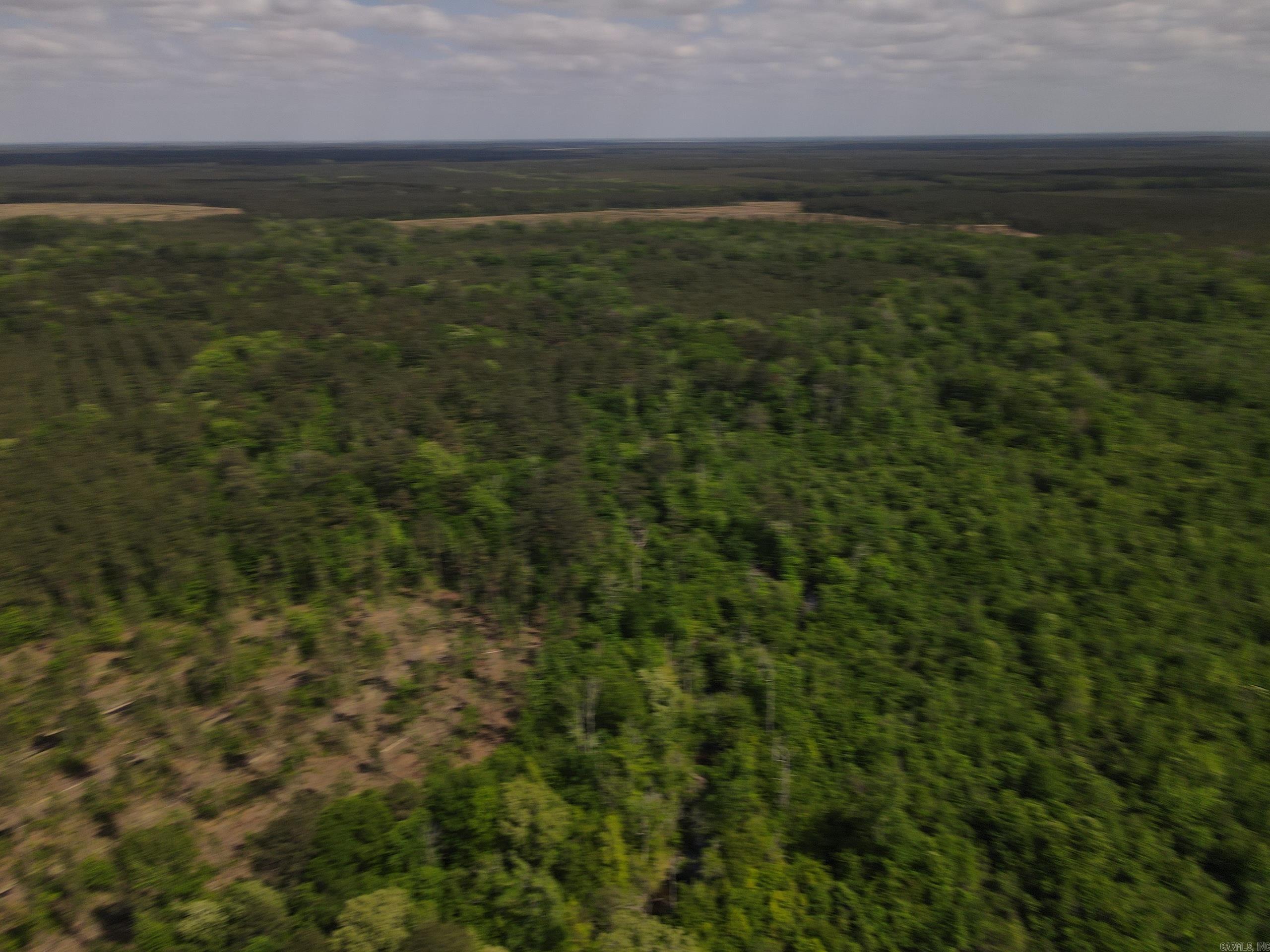 000 County Road 308  Hamburg, AR