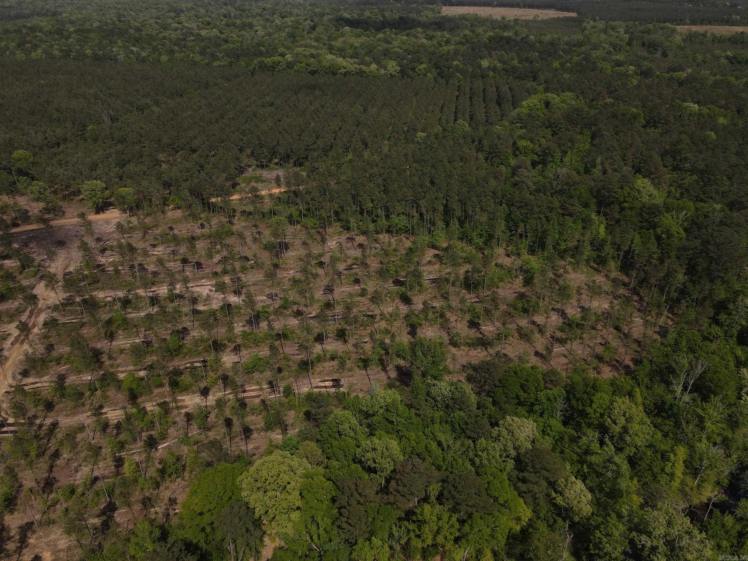 000 County Road 308  Hamburg, AR