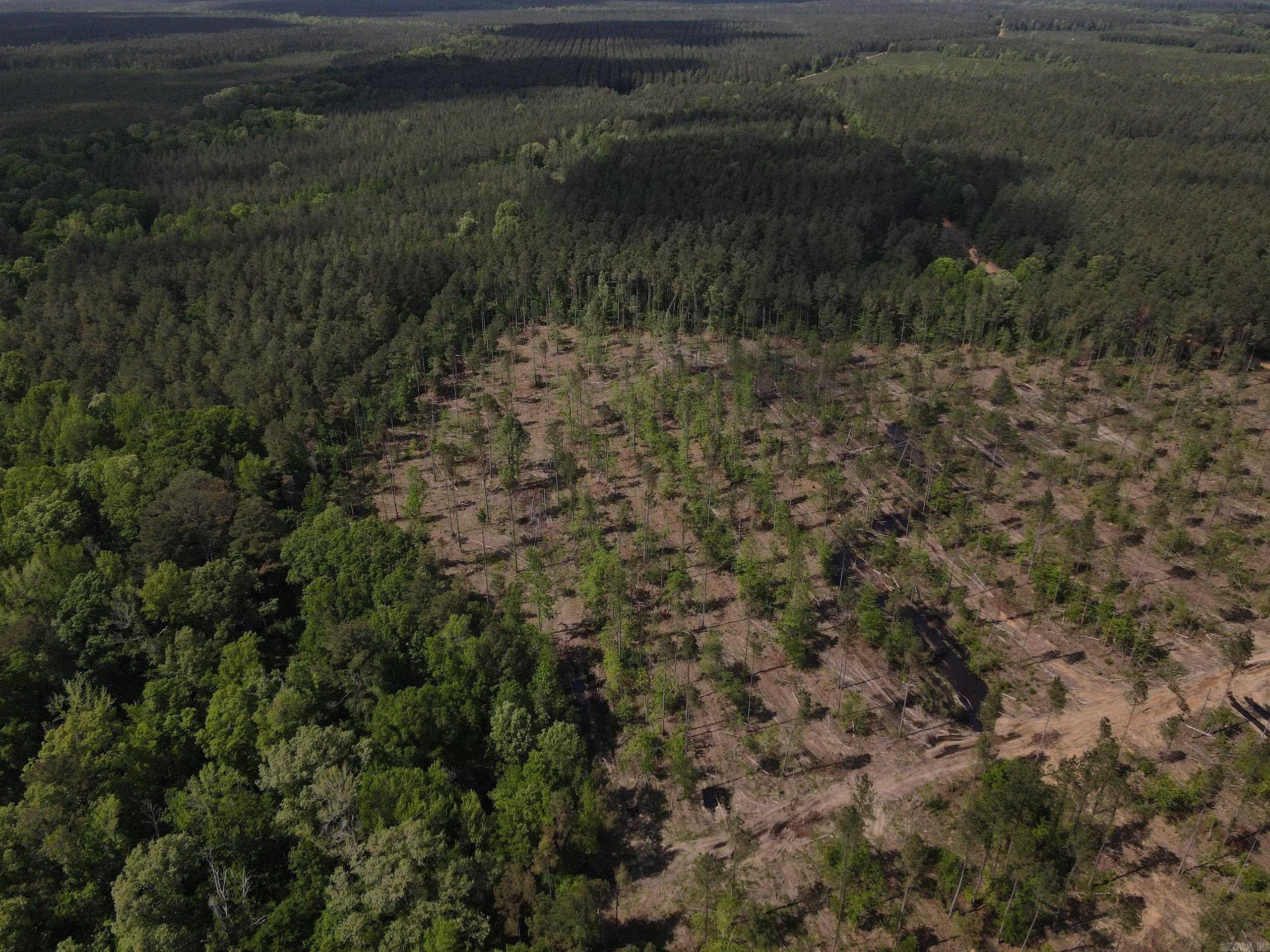 000 County Road 308  Hamburg, AR