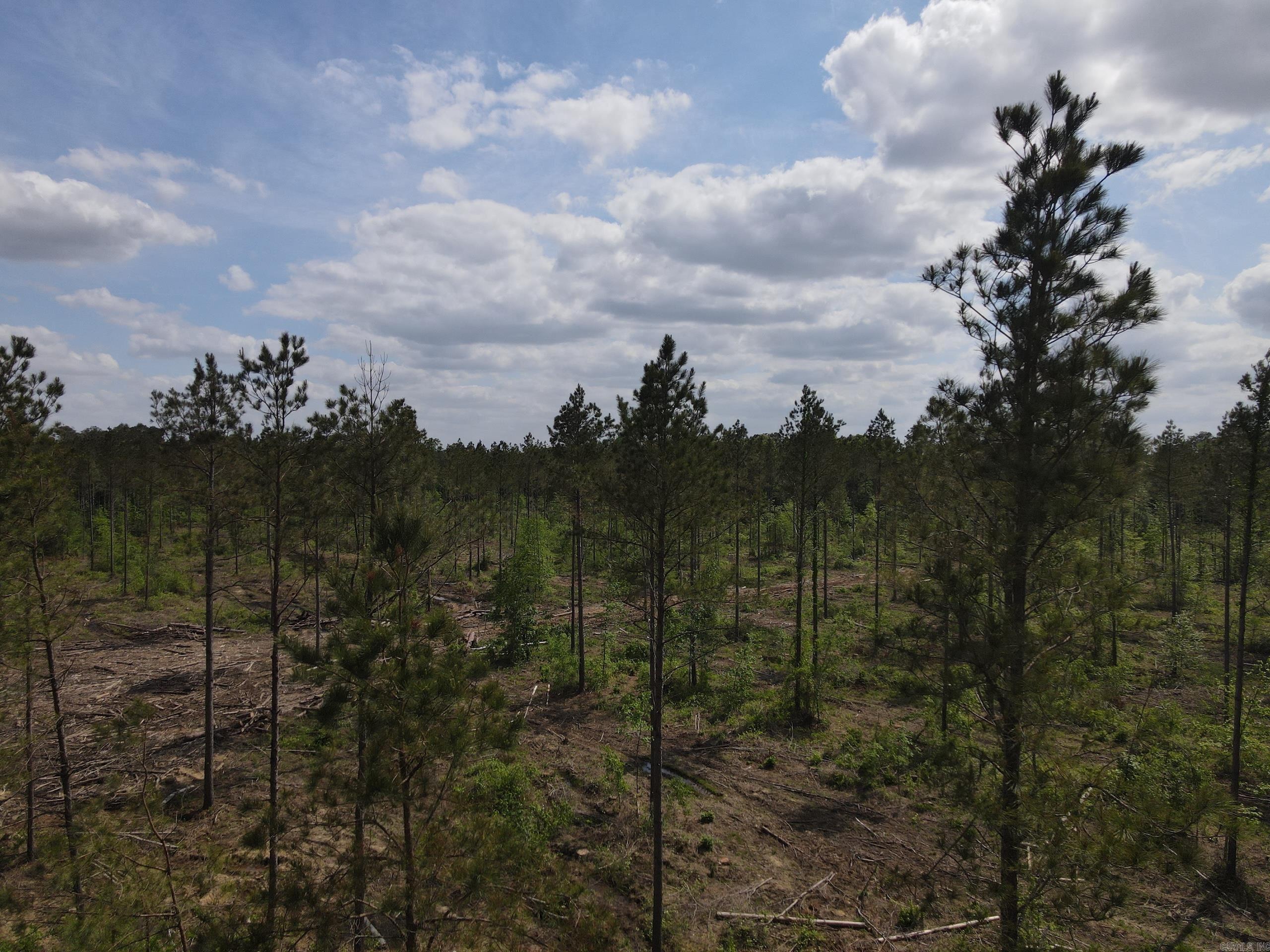 000 County Road 308  Hamburg, AR