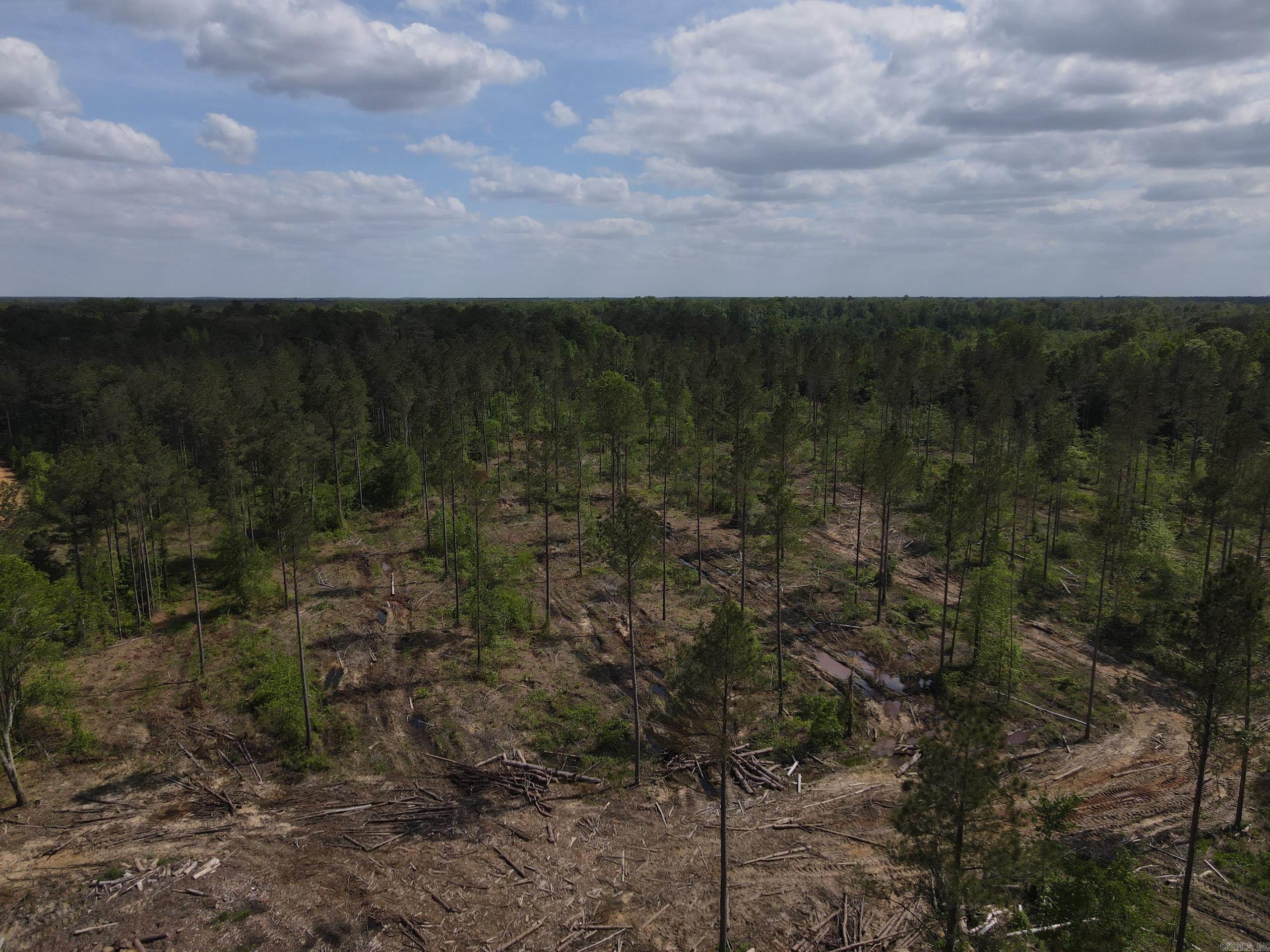 000 County Road 308  Hamburg, AR