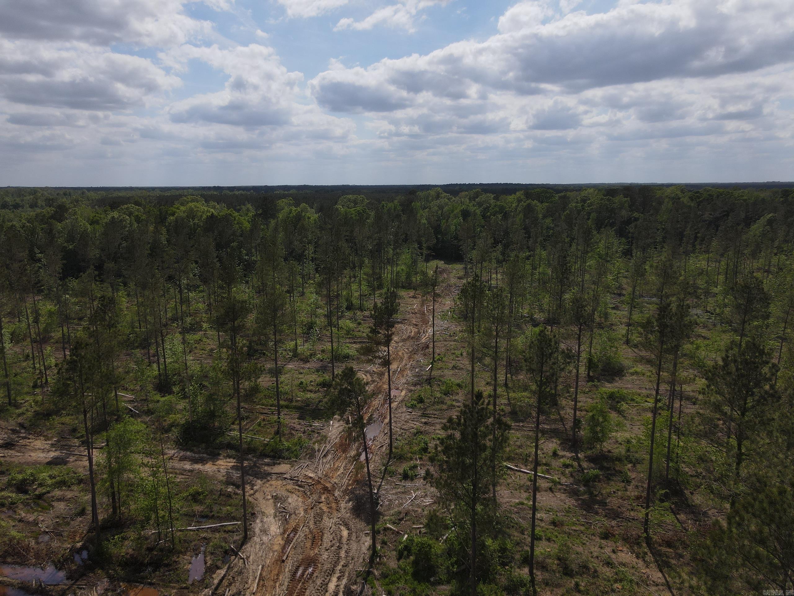 000 County Road 308  Hamburg, AR