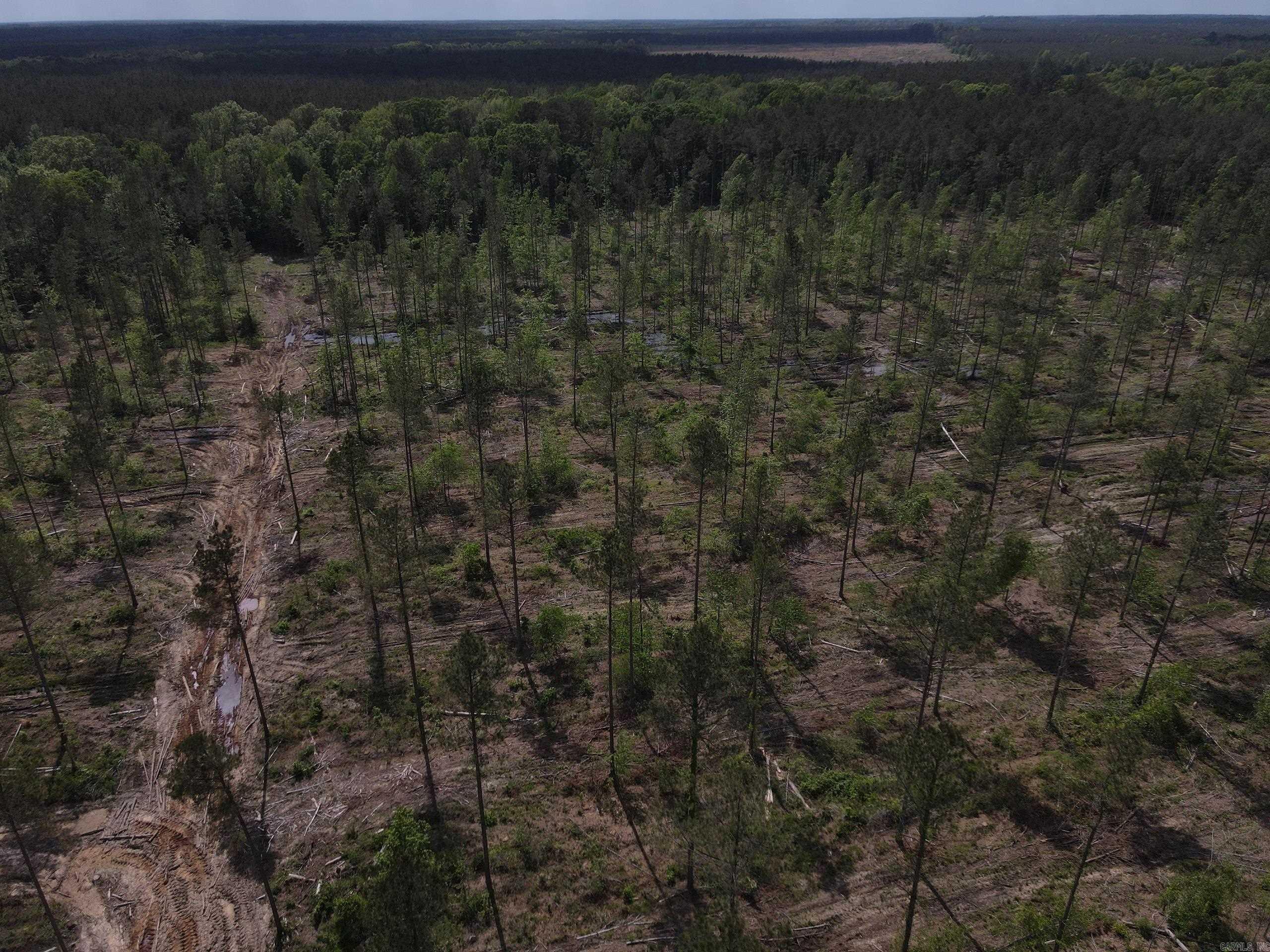 000 County Road 308  Hamburg, AR