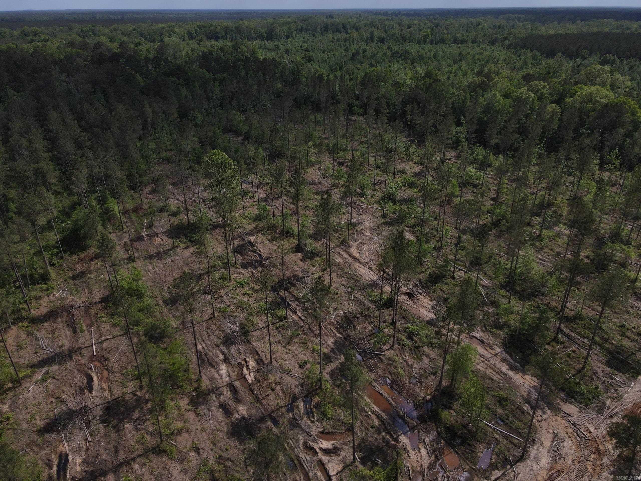 000 County Road 308  Hamburg, AR