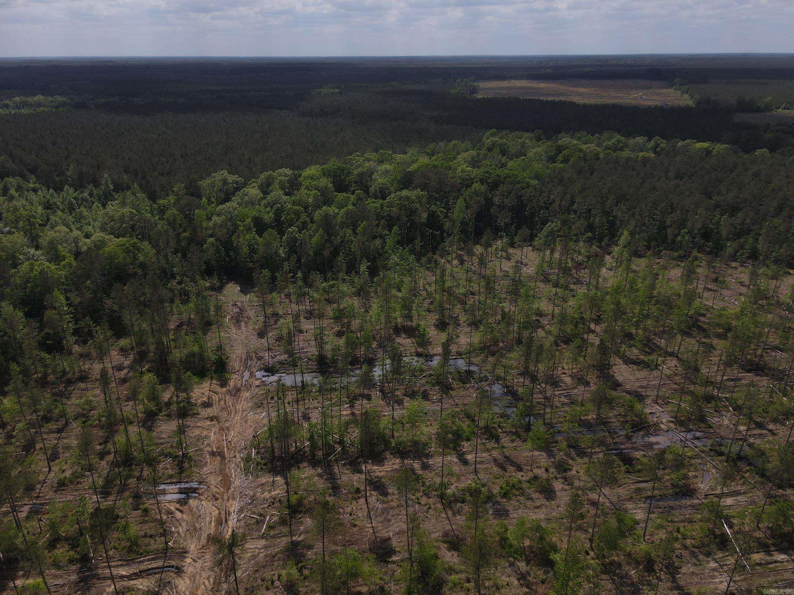 000 County Road 308  Hamburg, AR