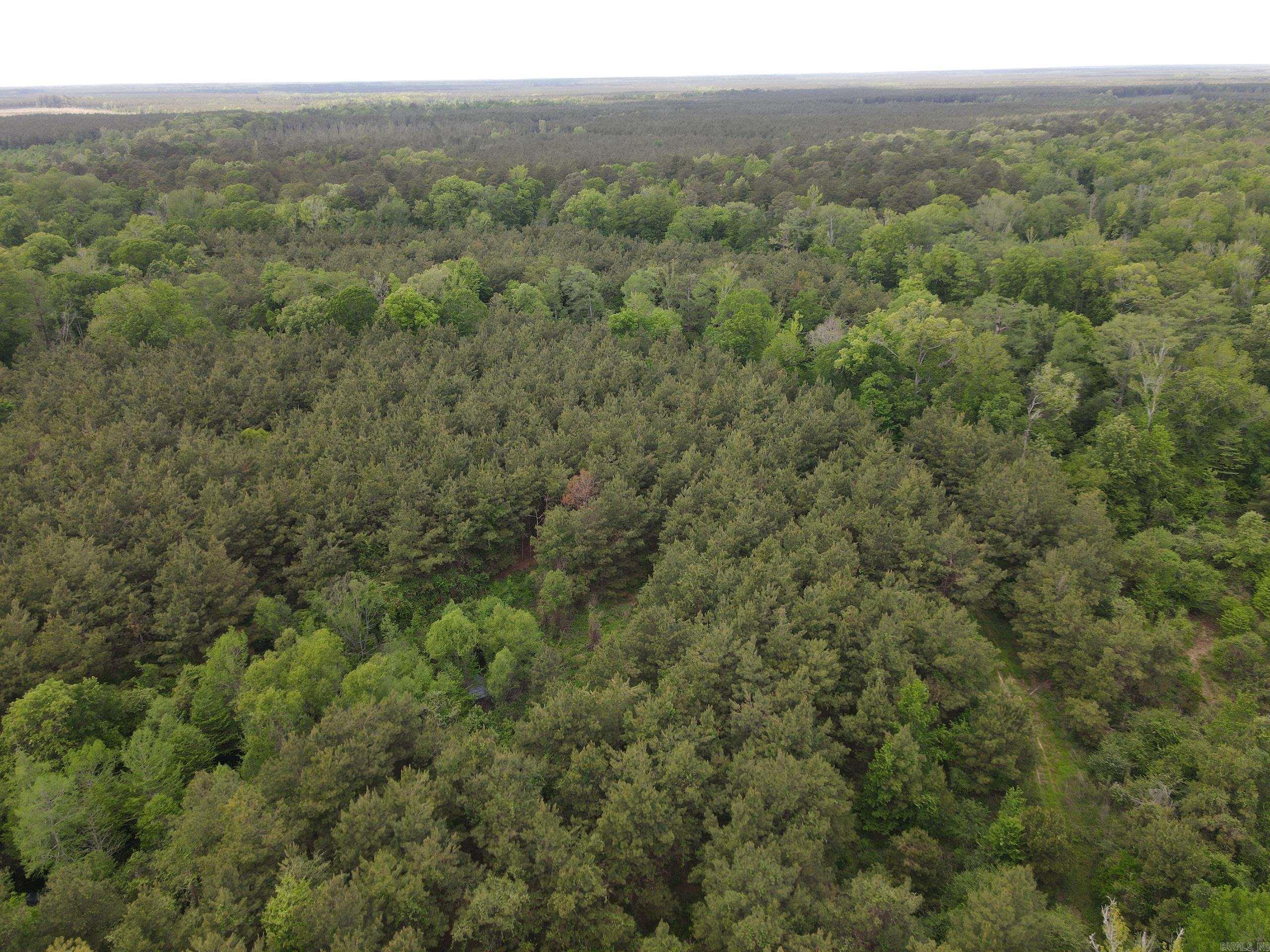 000 County Road 29,  Hamburg, AR