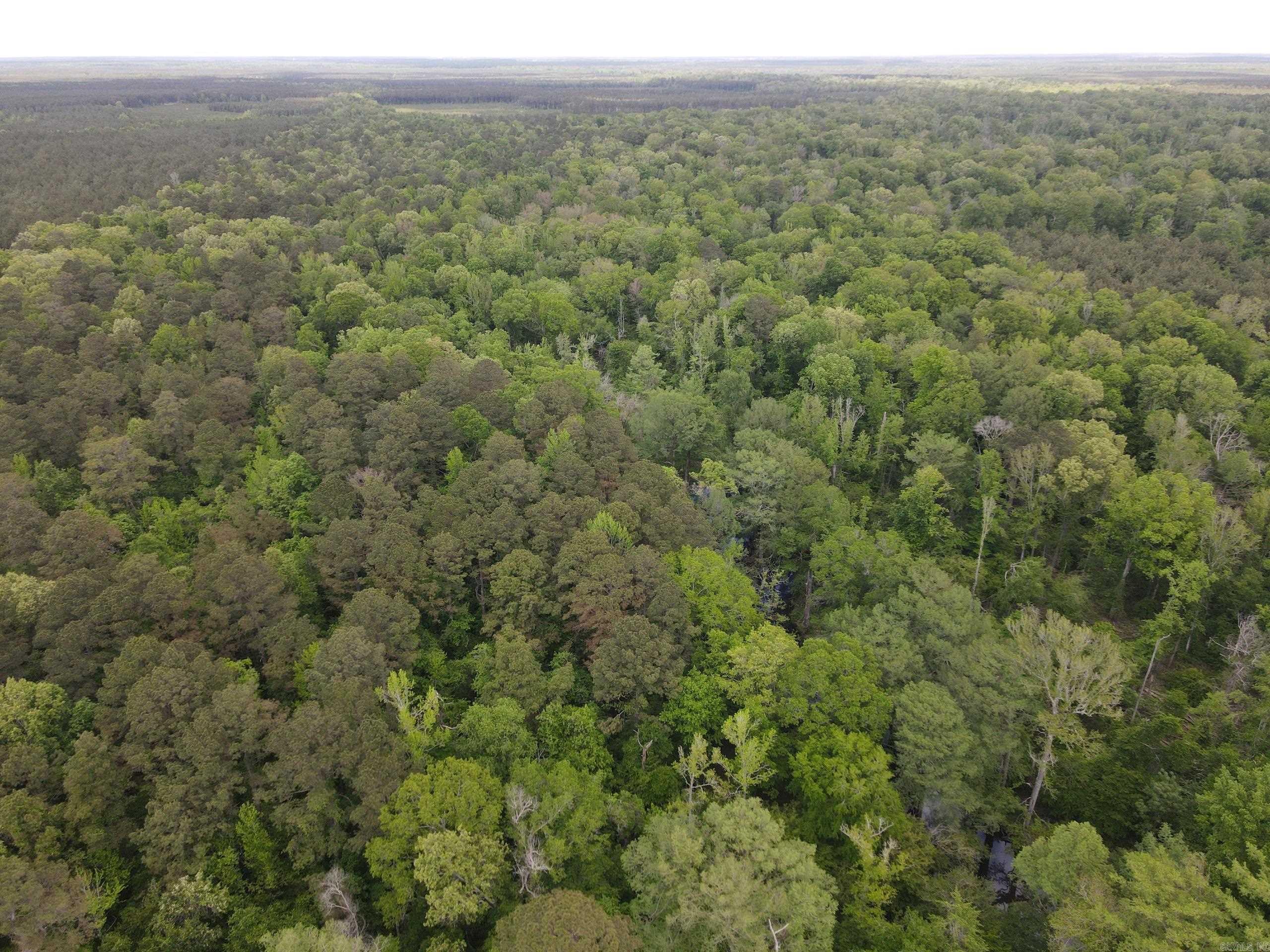 000 County Road 29,  Hamburg, AR