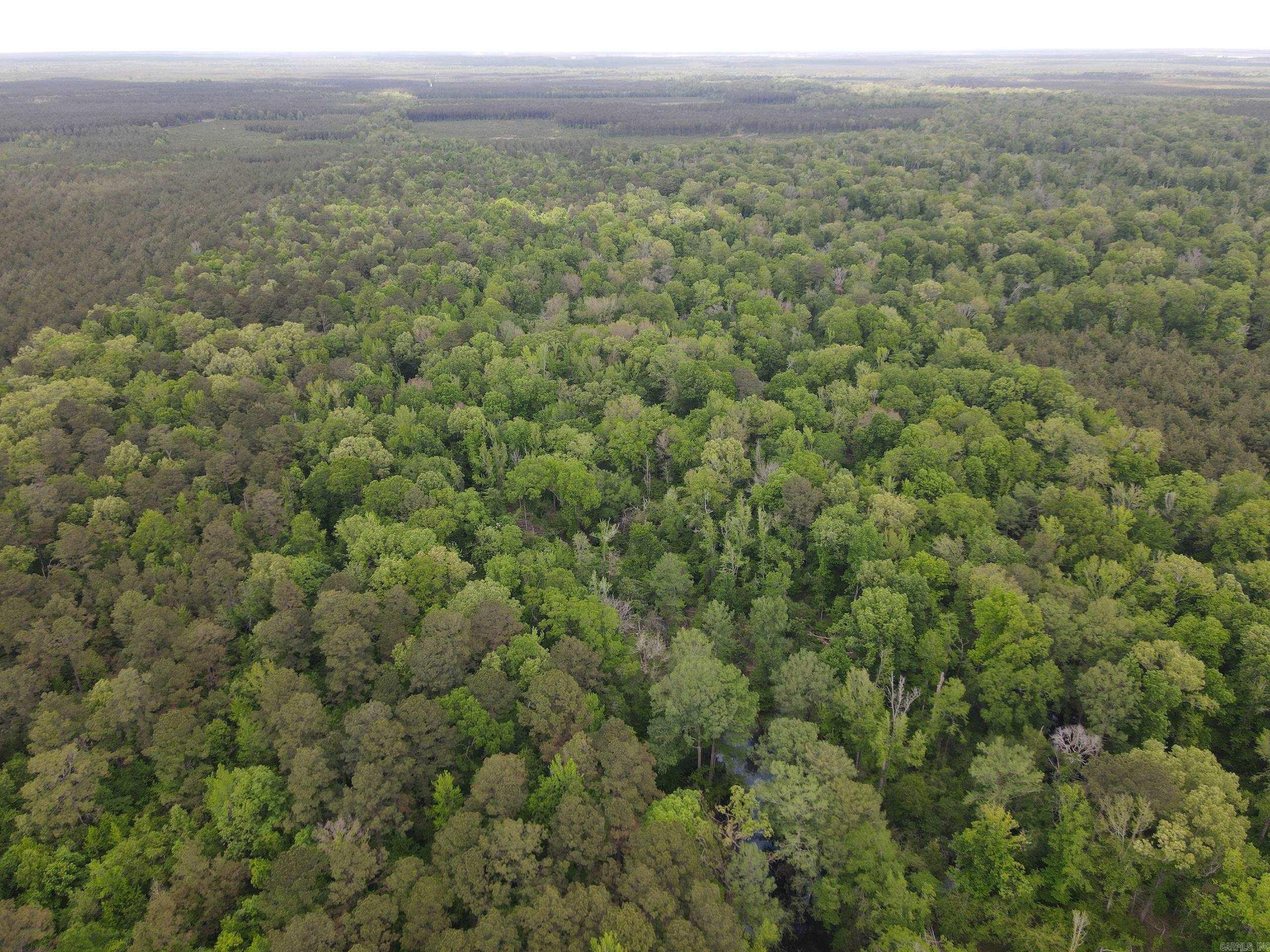 000 County Road 29,  Hamburg, AR