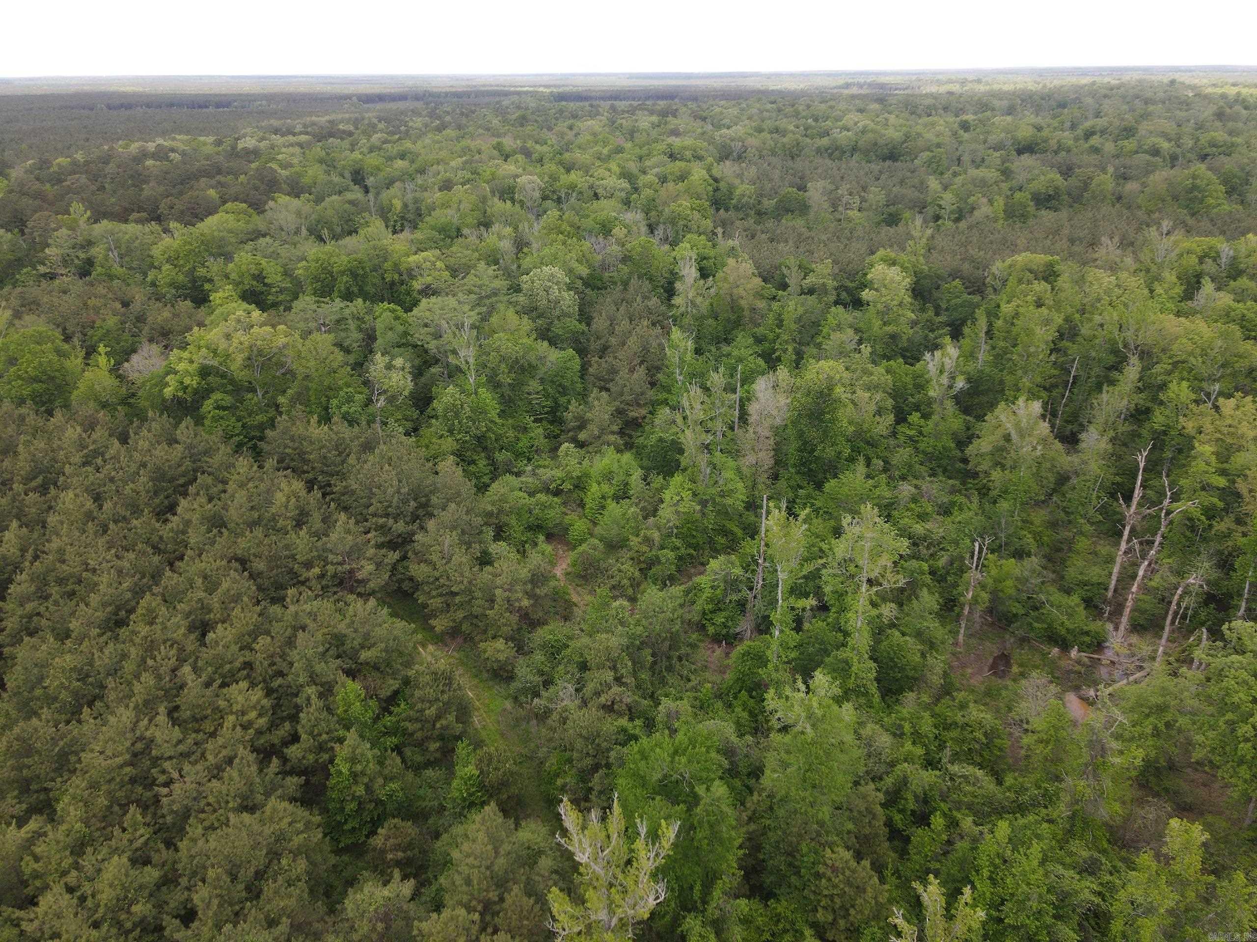 000 County Road 29,  Hamburg, AR