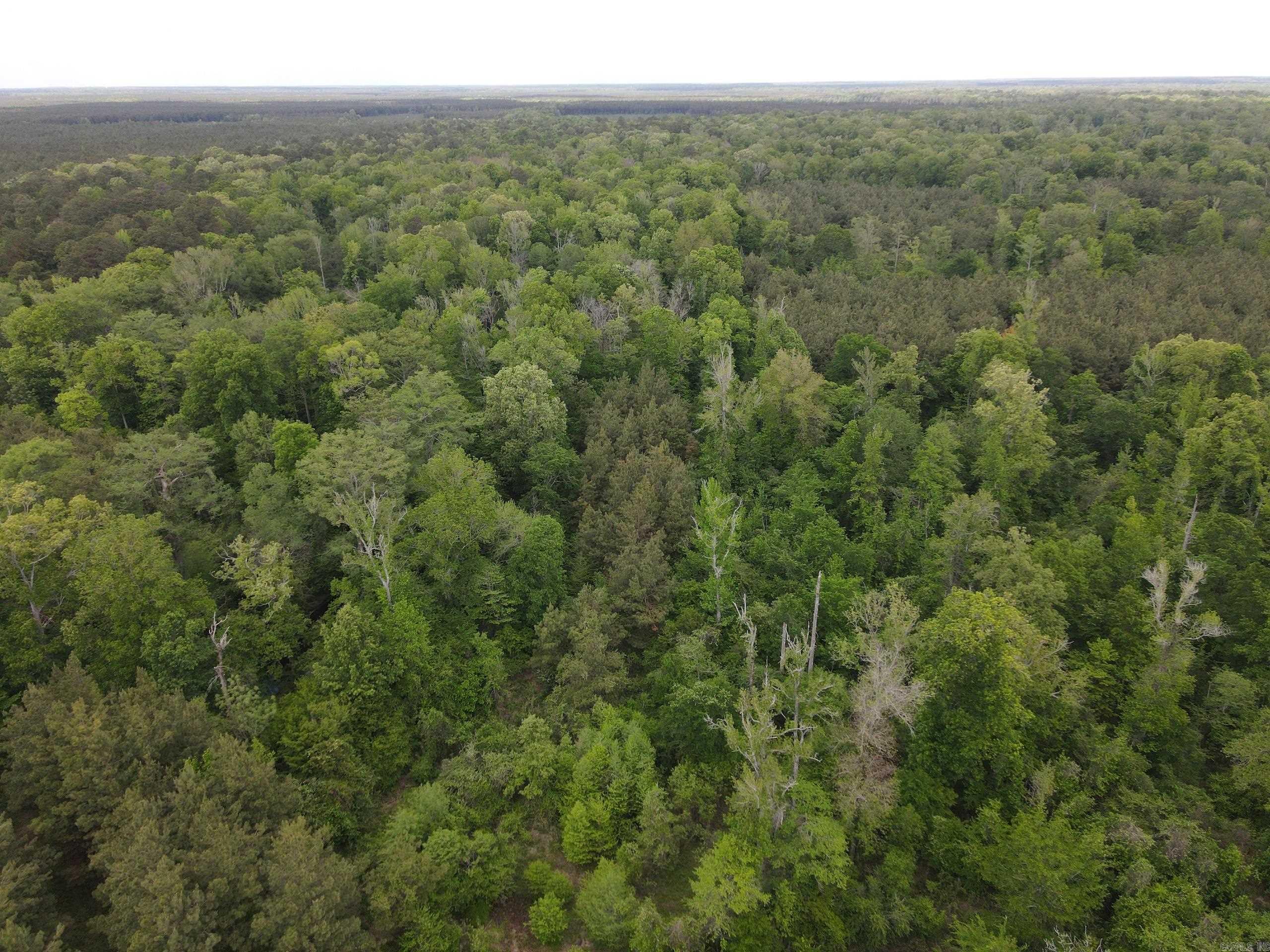 000 County Road 29,  Hamburg, AR