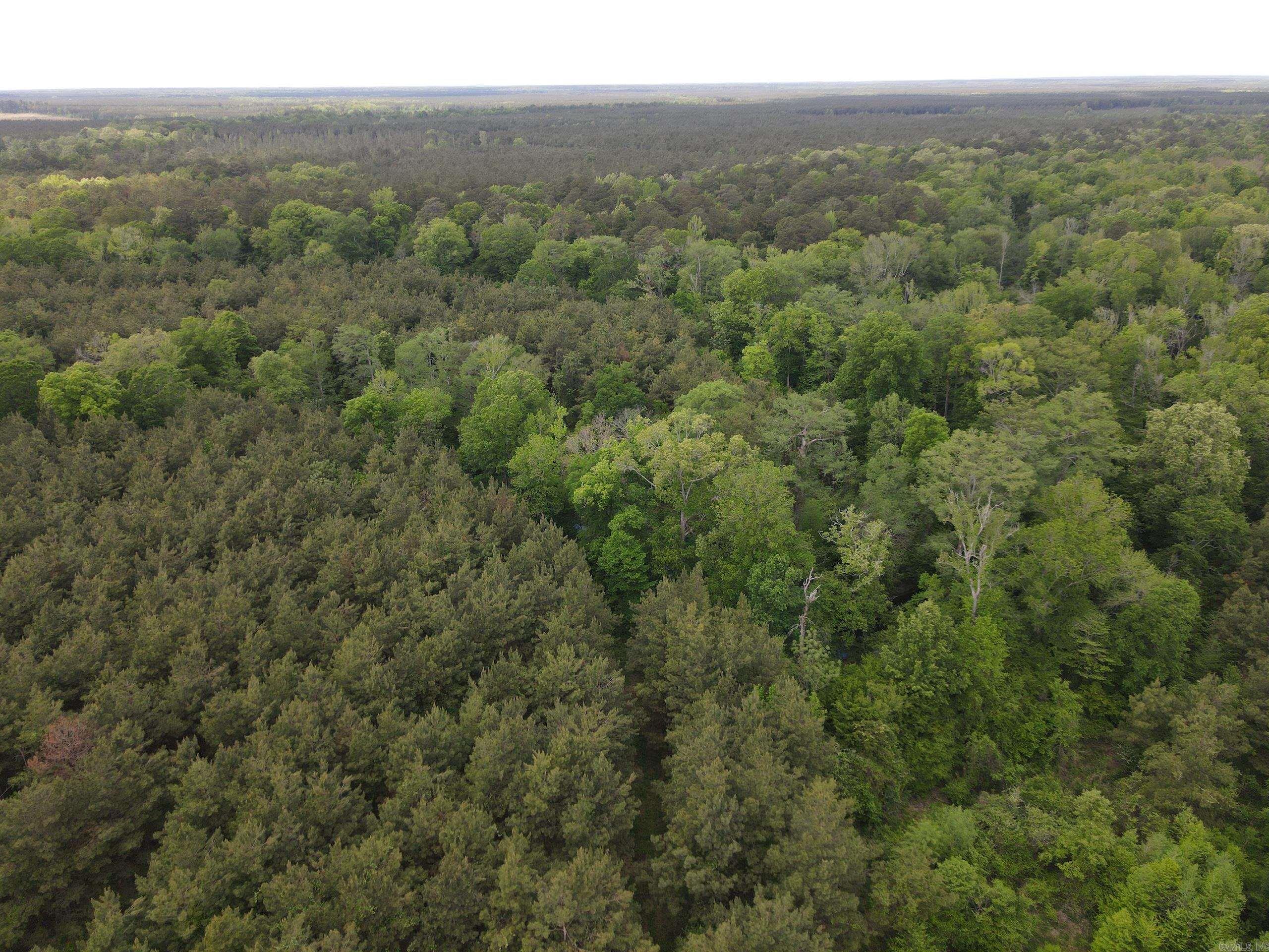 000 County Road 29,  Hamburg, AR