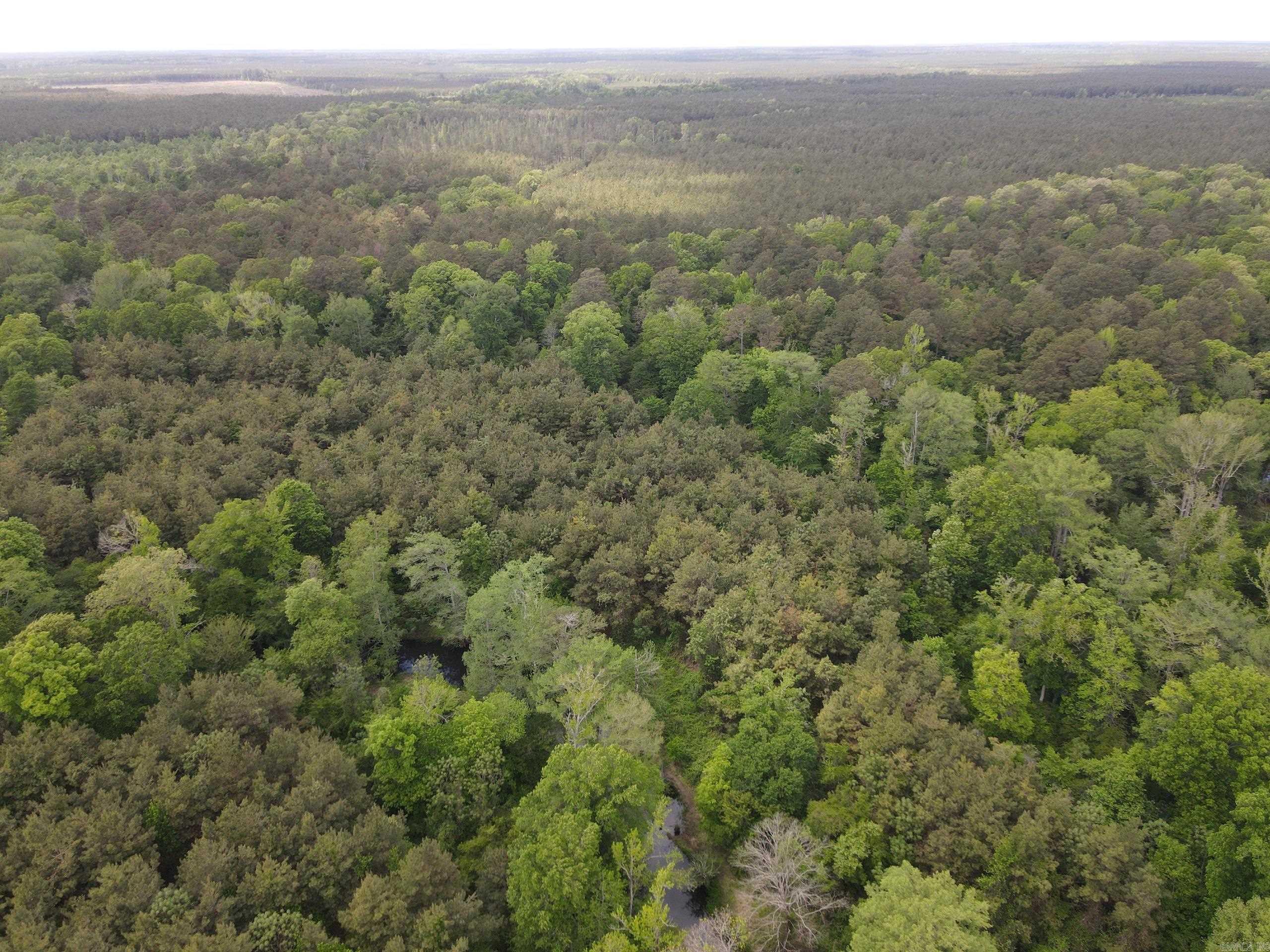 000 County Road 29,  Hamburg, AR