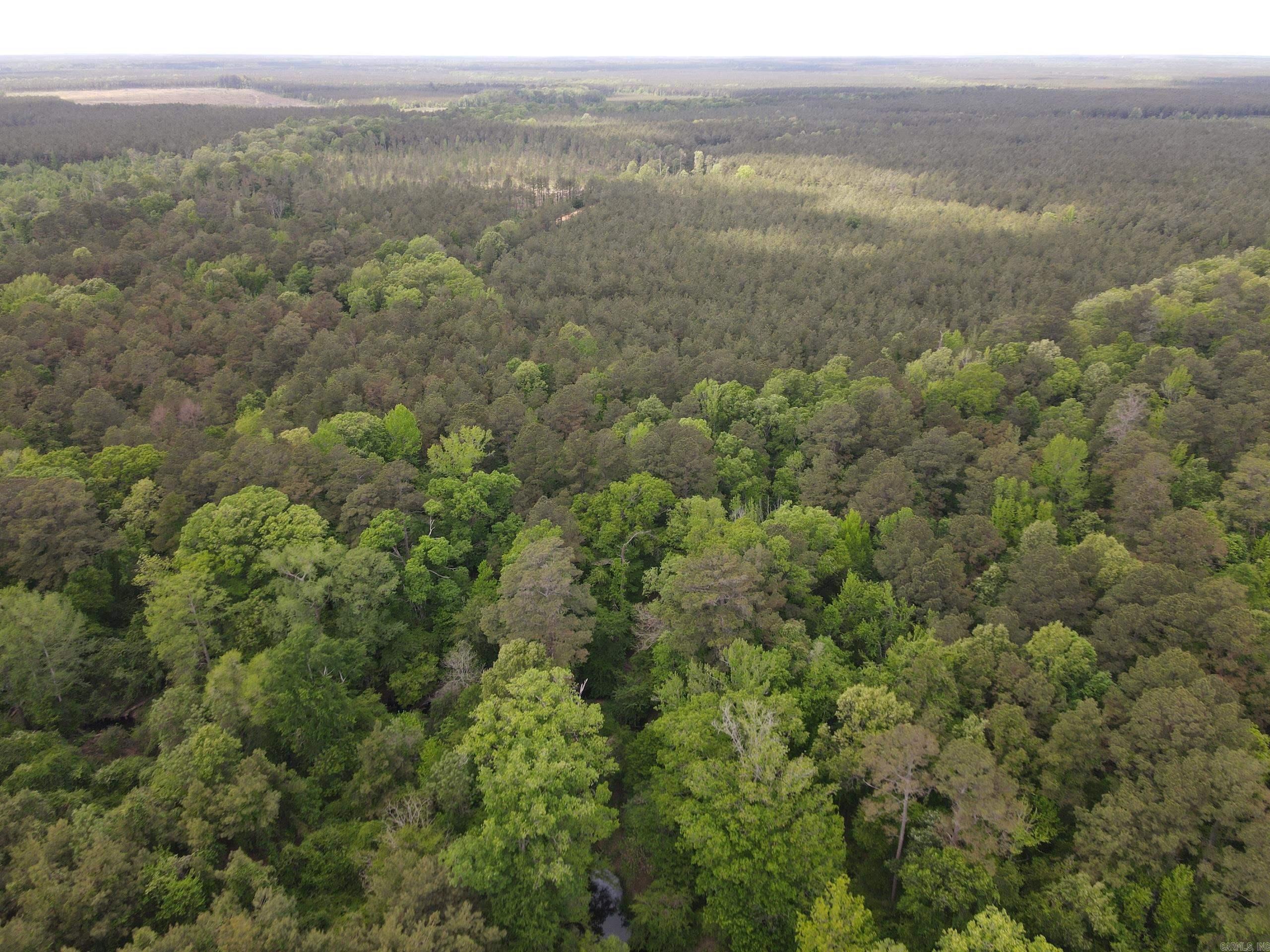 000 County Road 29,  Hamburg, AR