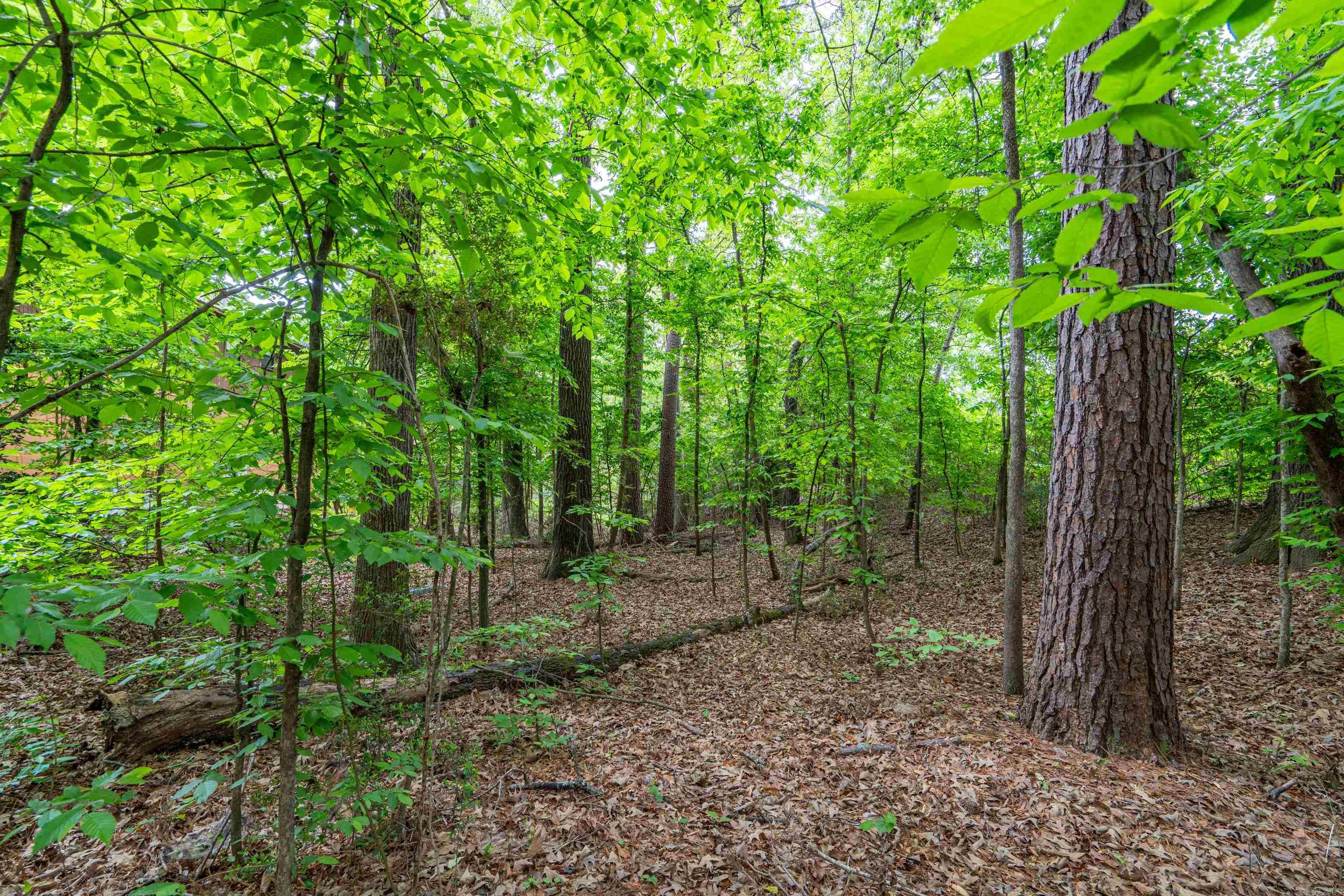 1019 Village A & B Arkadelphia, AR