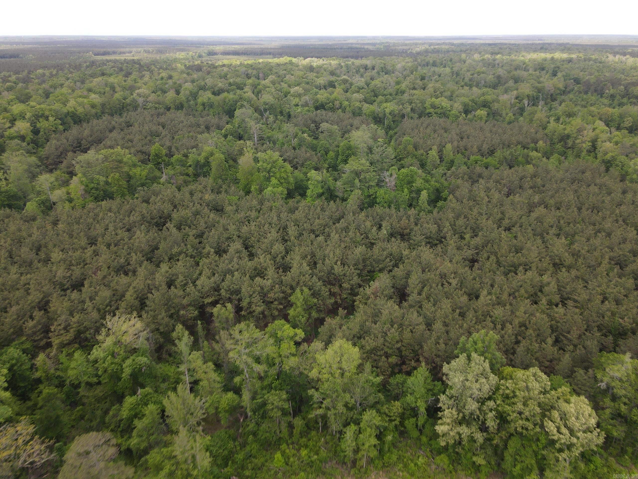 002 County Road 29  Hamburg, AR