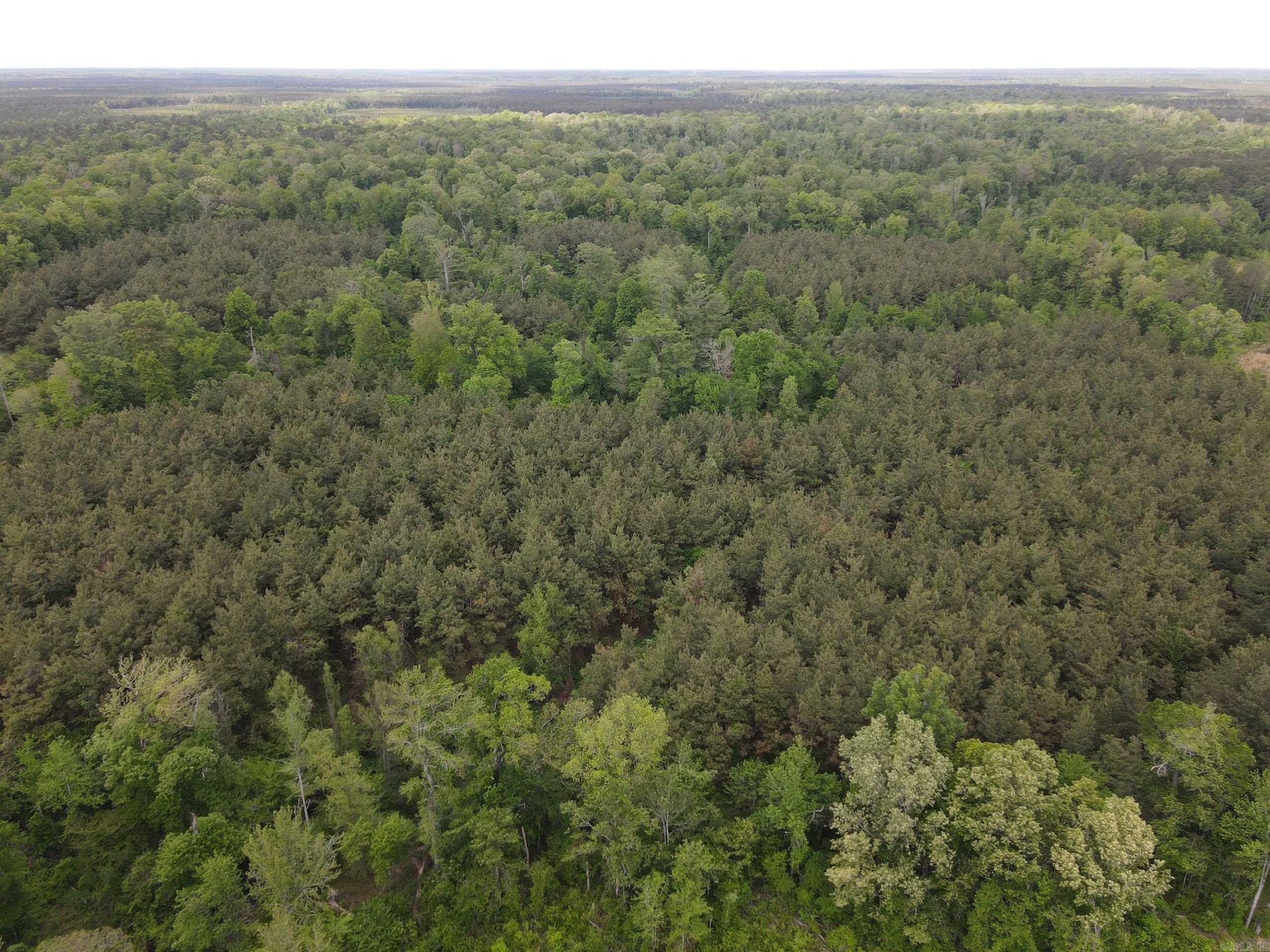 002 County Road 29  Hamburg, AR