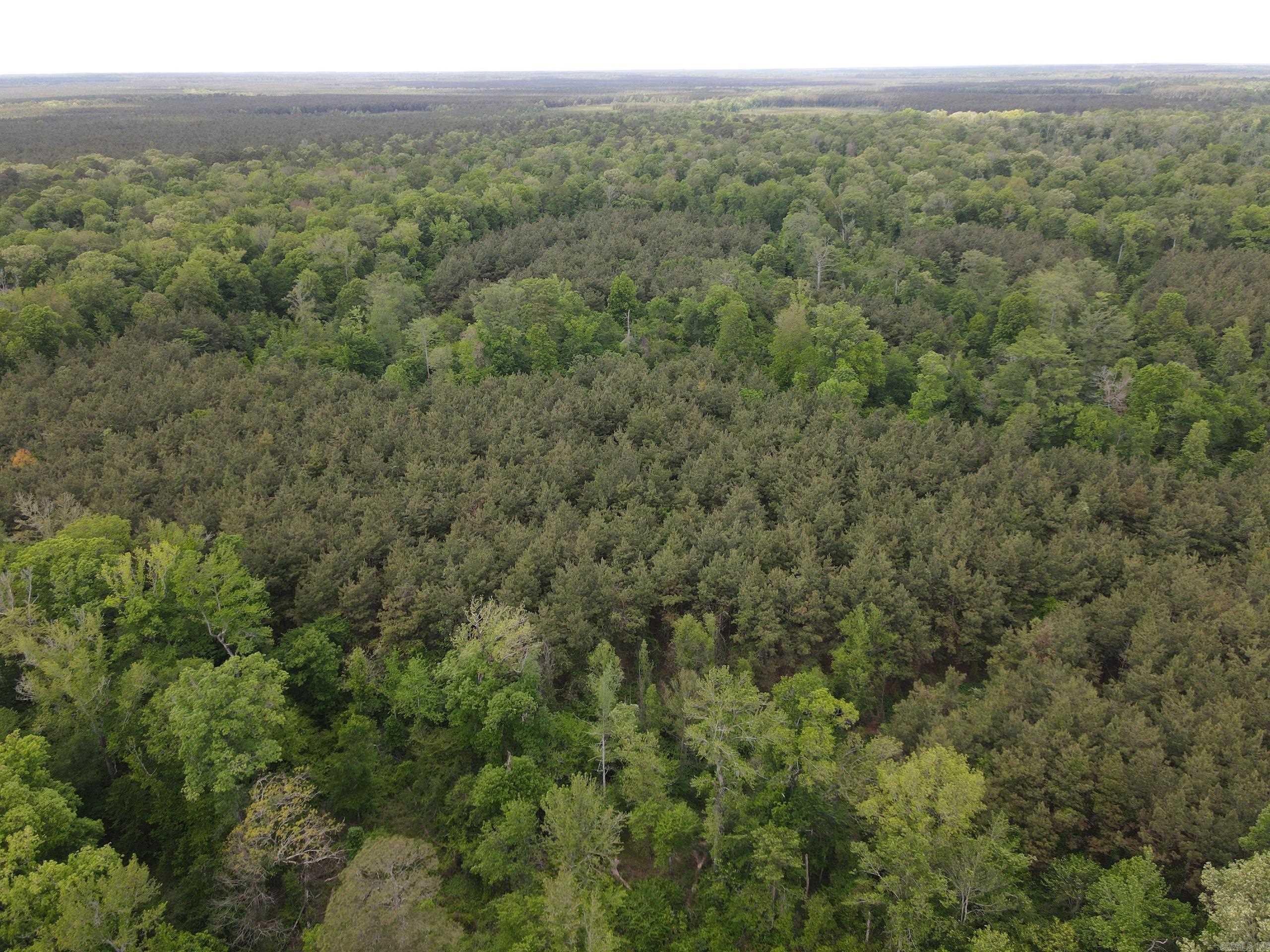 002 County Road 29  Hamburg, AR