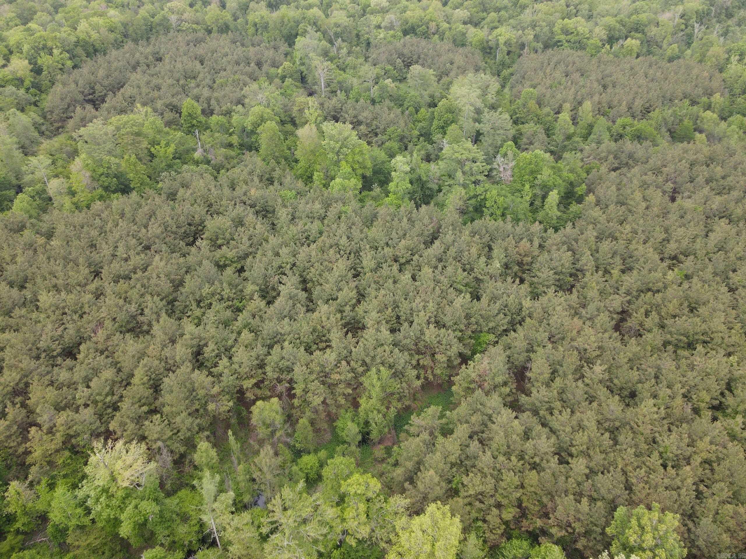 002 County Road 29  Hamburg, AR